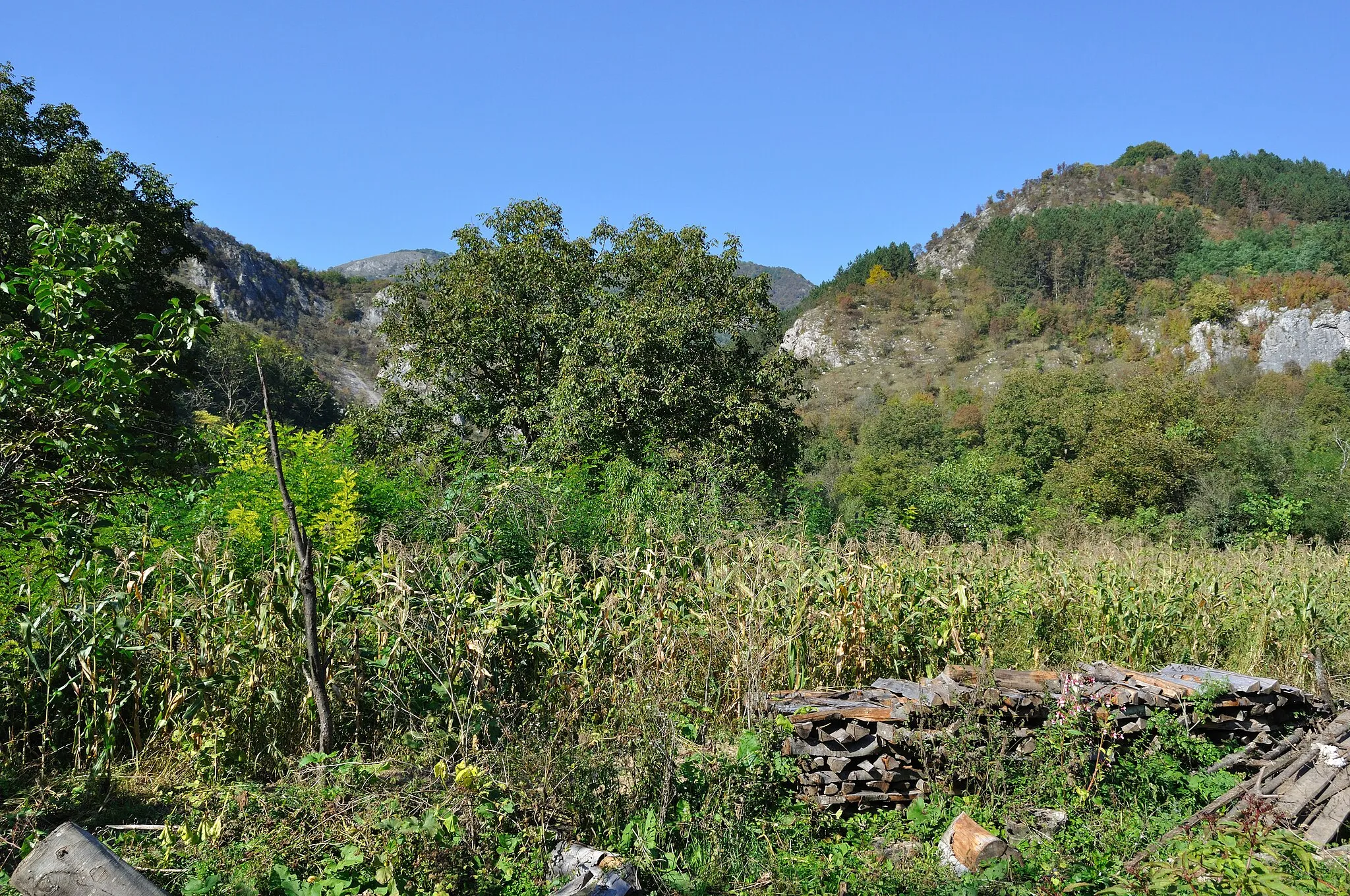 Photo showing: Băcâia, județul Hunedoara