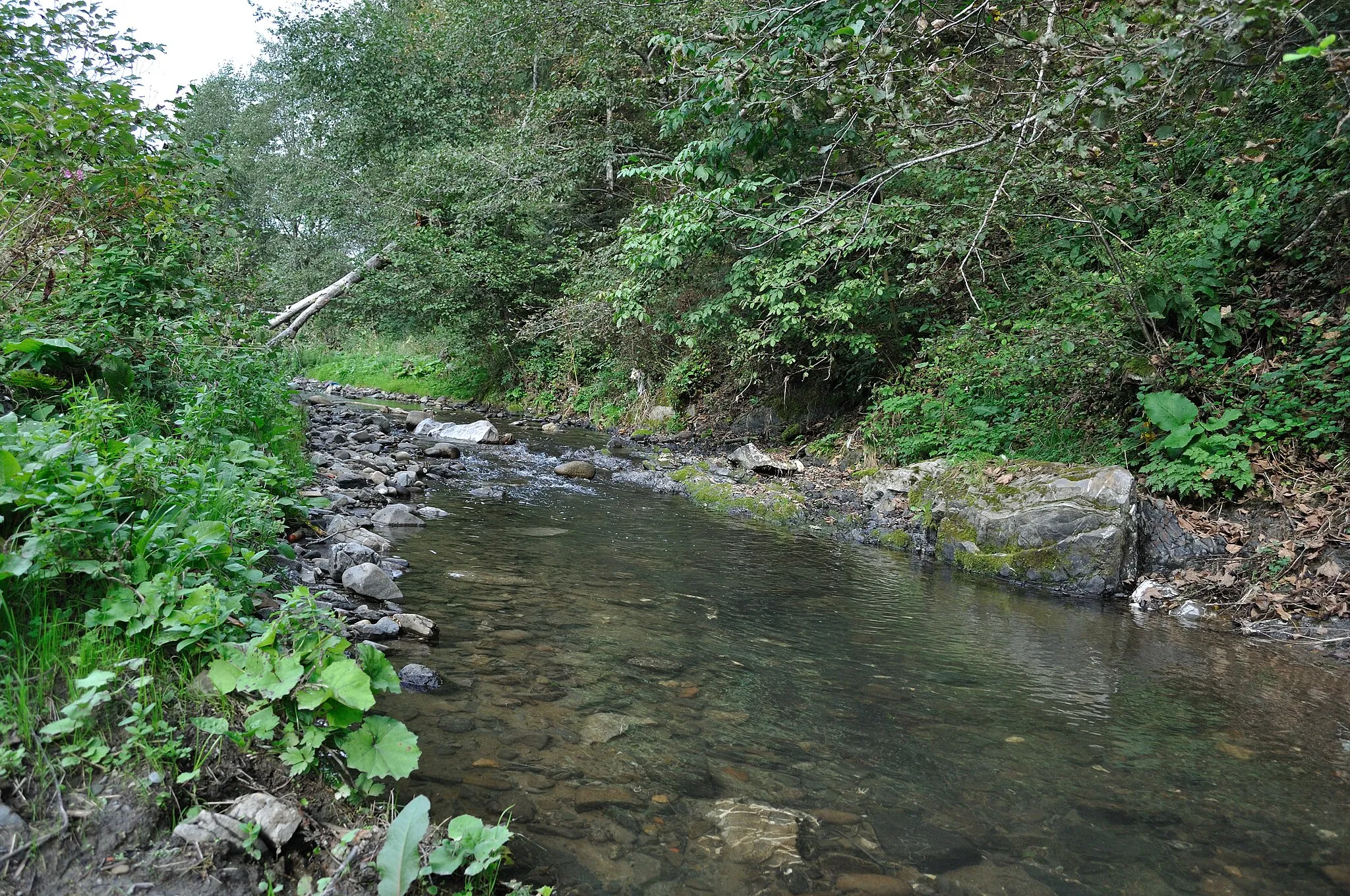 Photo showing: Valea Izbitei