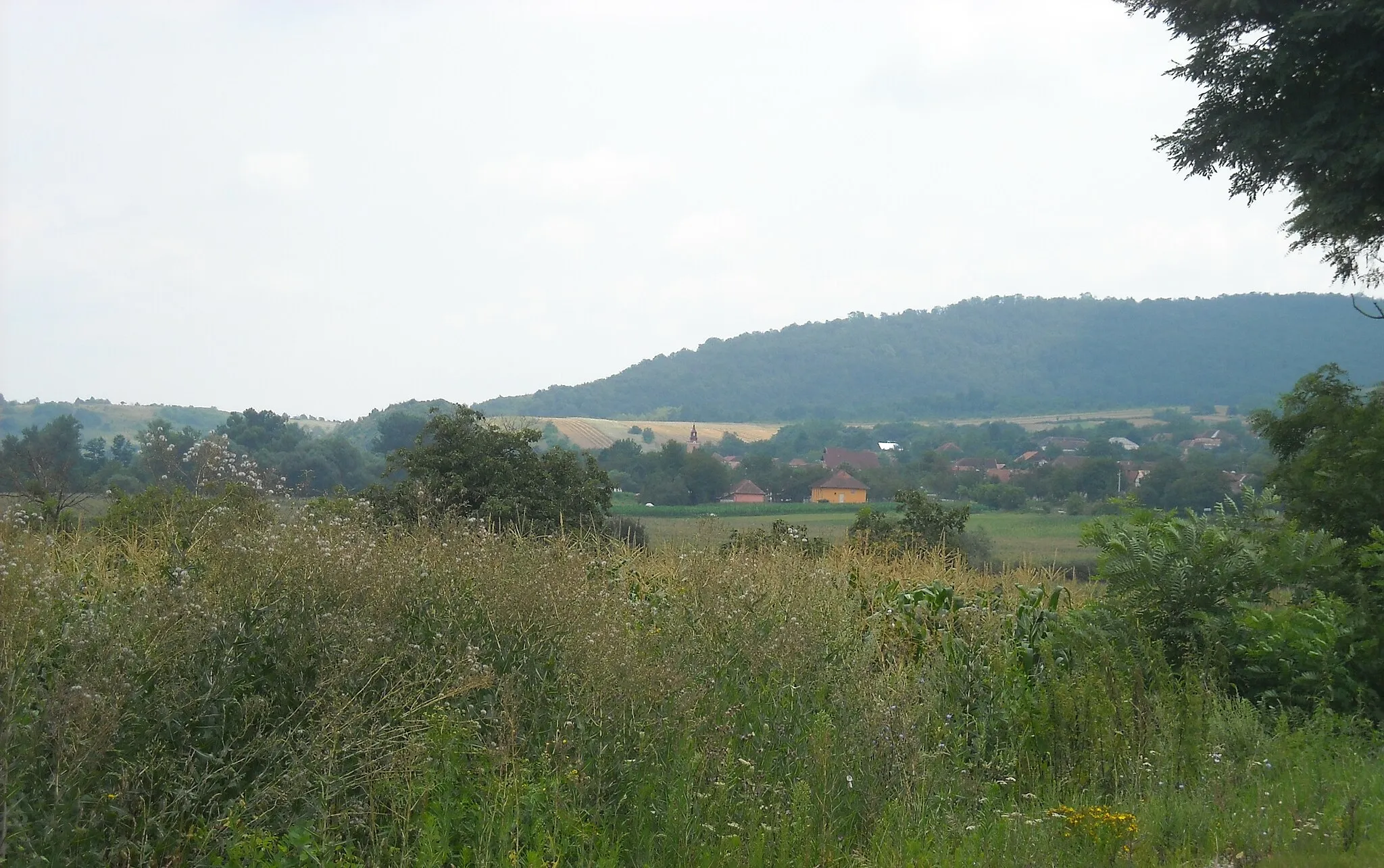 Photo showing: view of Joia Mare village, Romania
