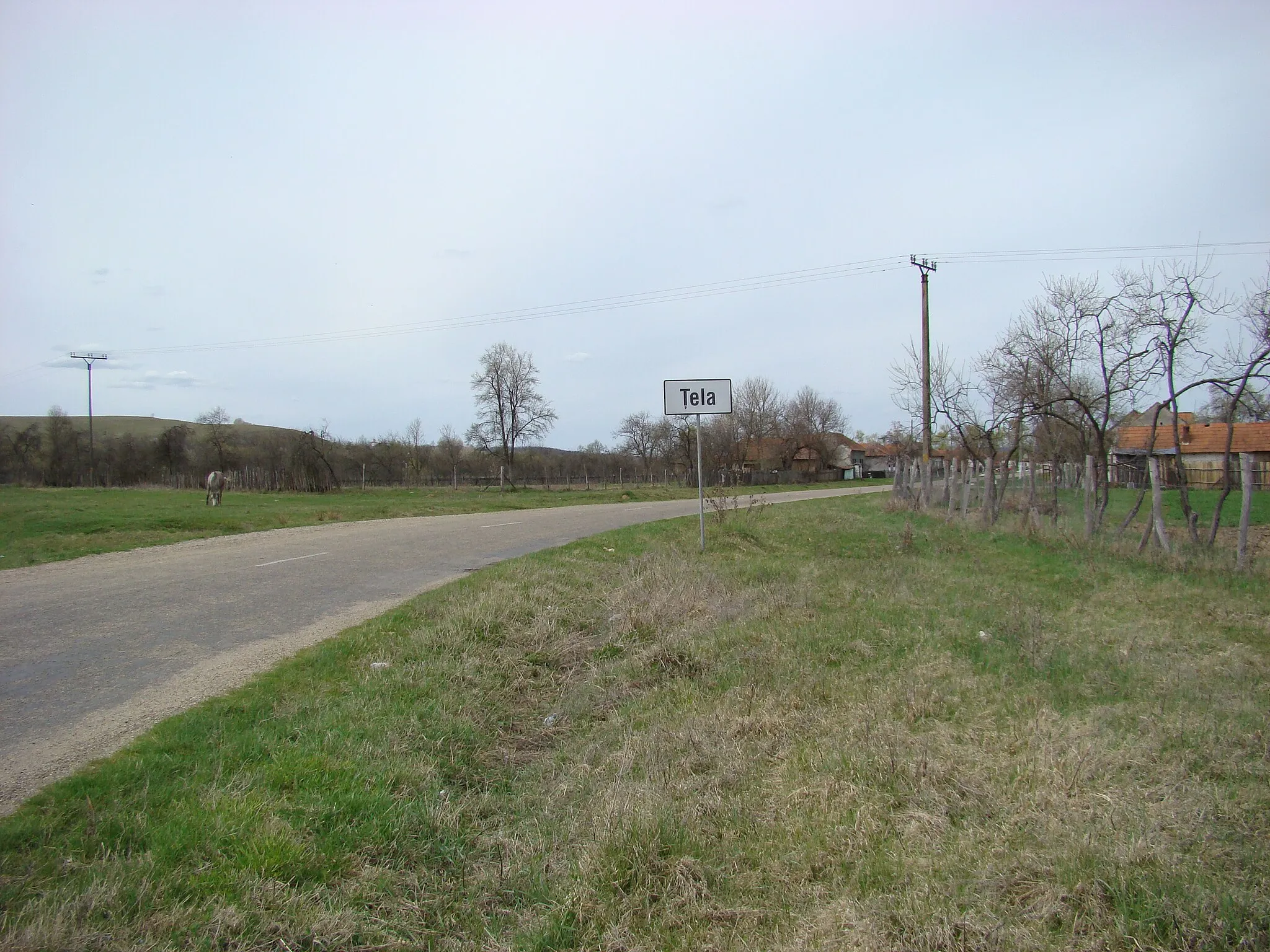 Photo showing: Țela, Arad county, Romania