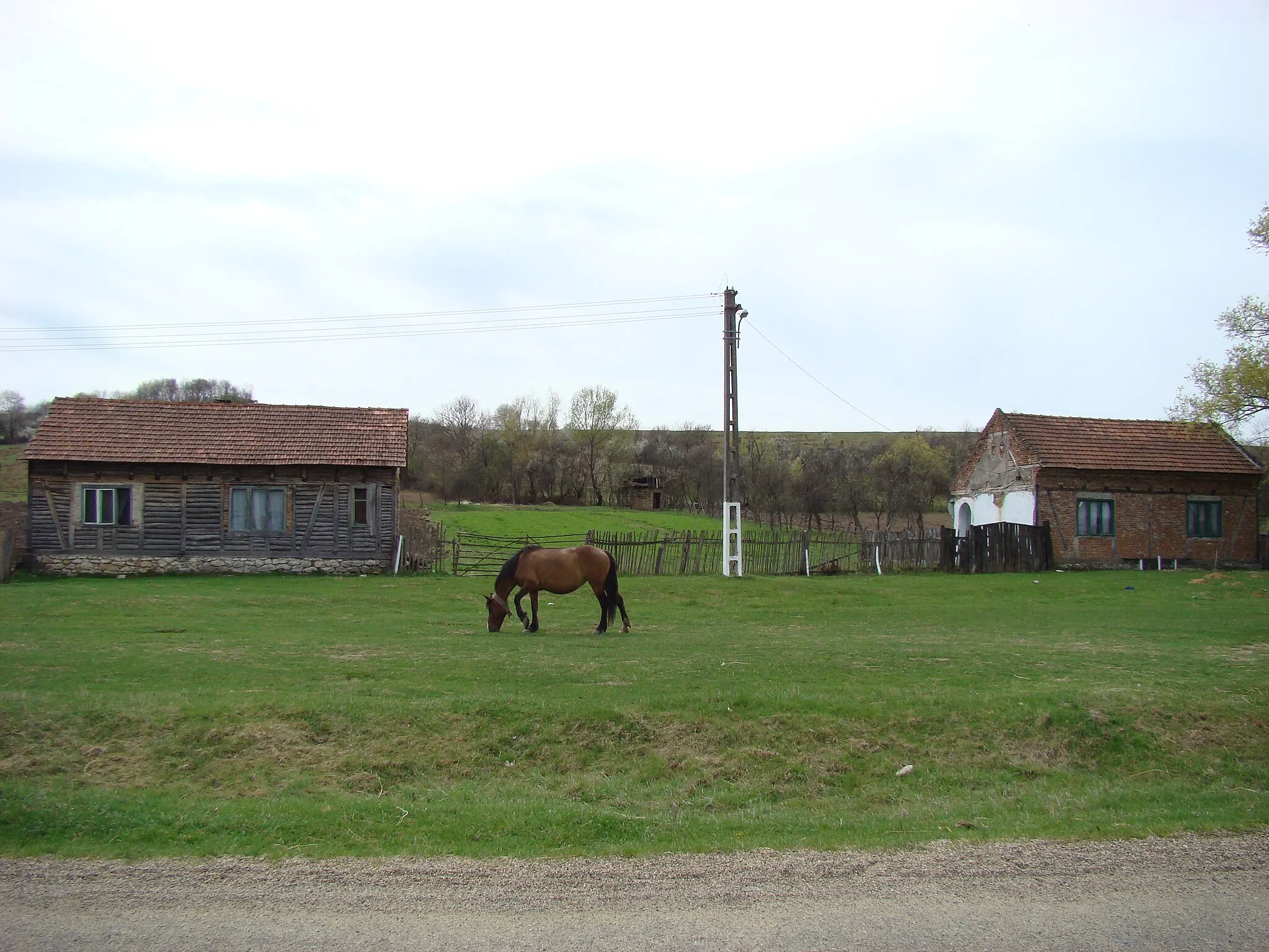 Photo showing: Țela, Arad county, Romania