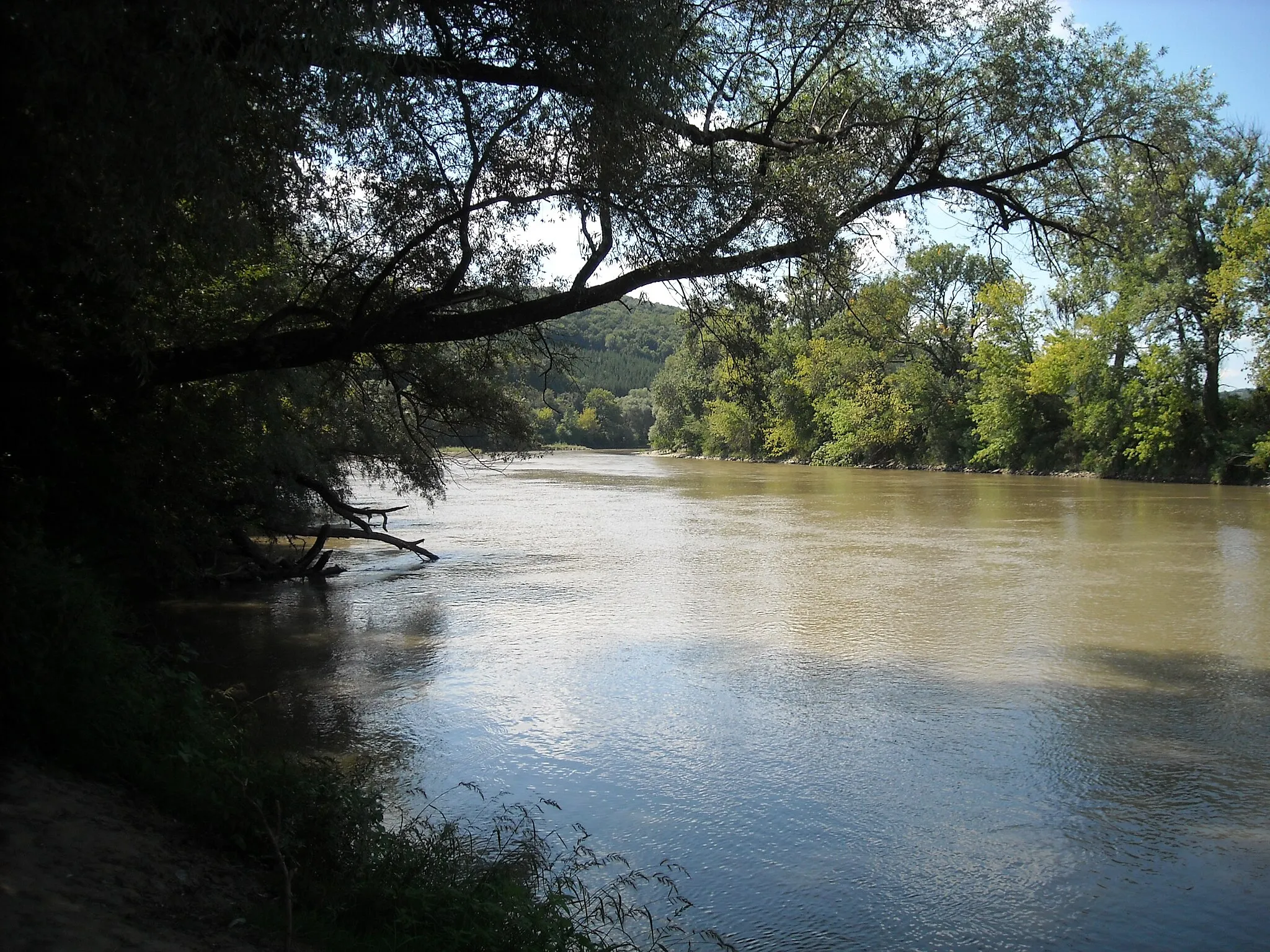 Photo showing: the Mureș river between Chelmac and Ususău