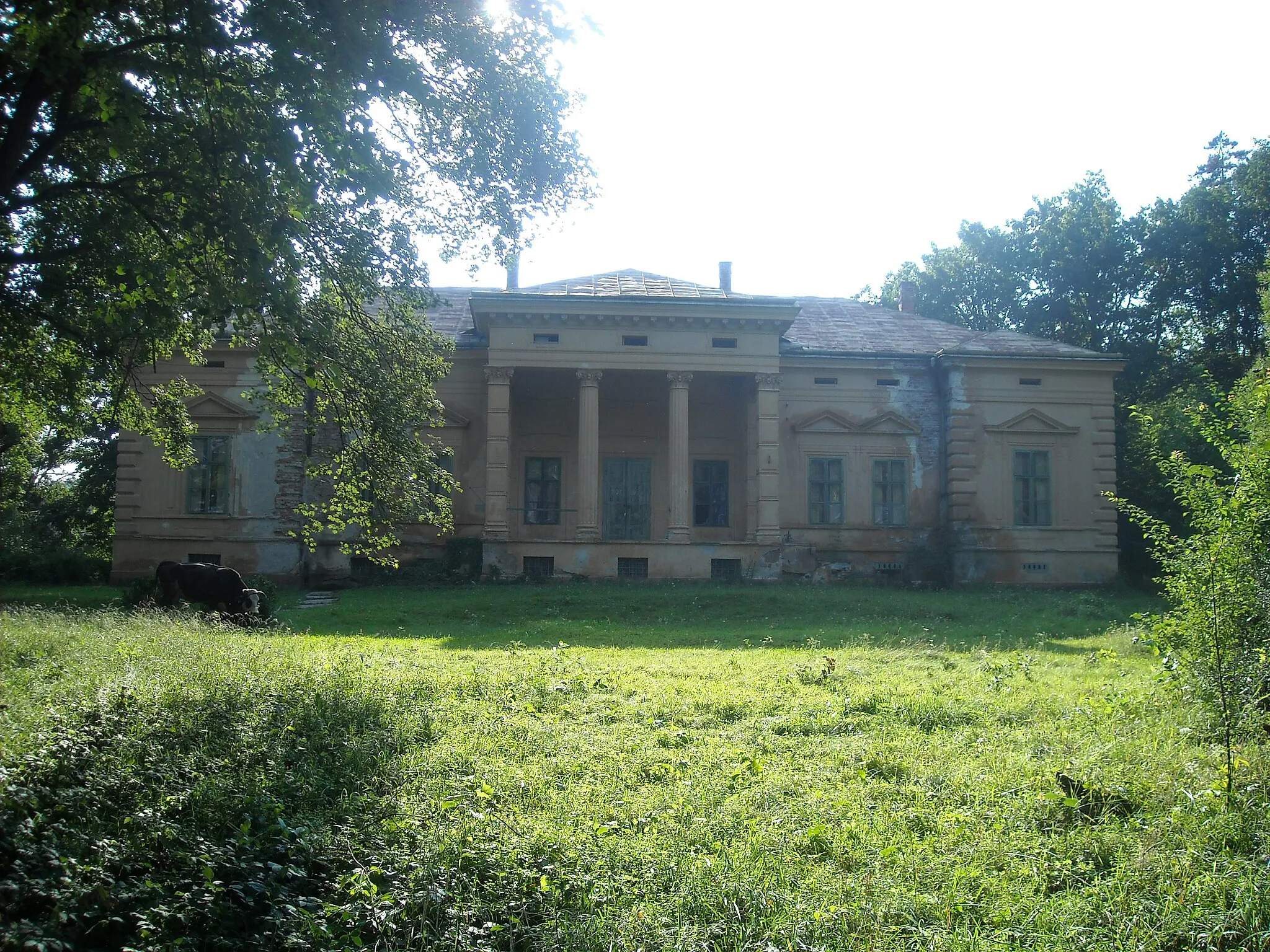 Photo showing: the manor house of the Konopi family in Odvoș, Romania