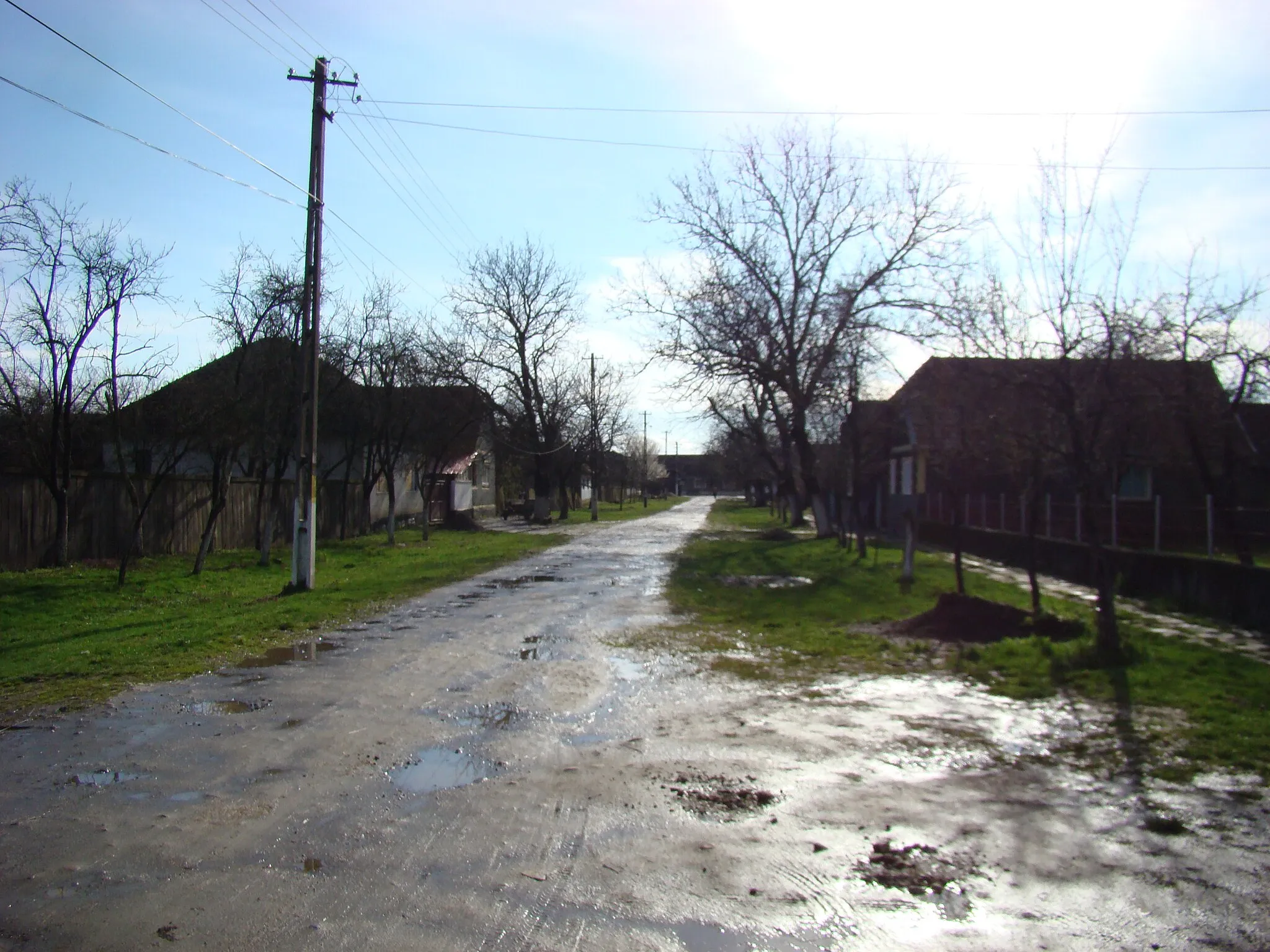 Photo showing: Buhani, județul Arad