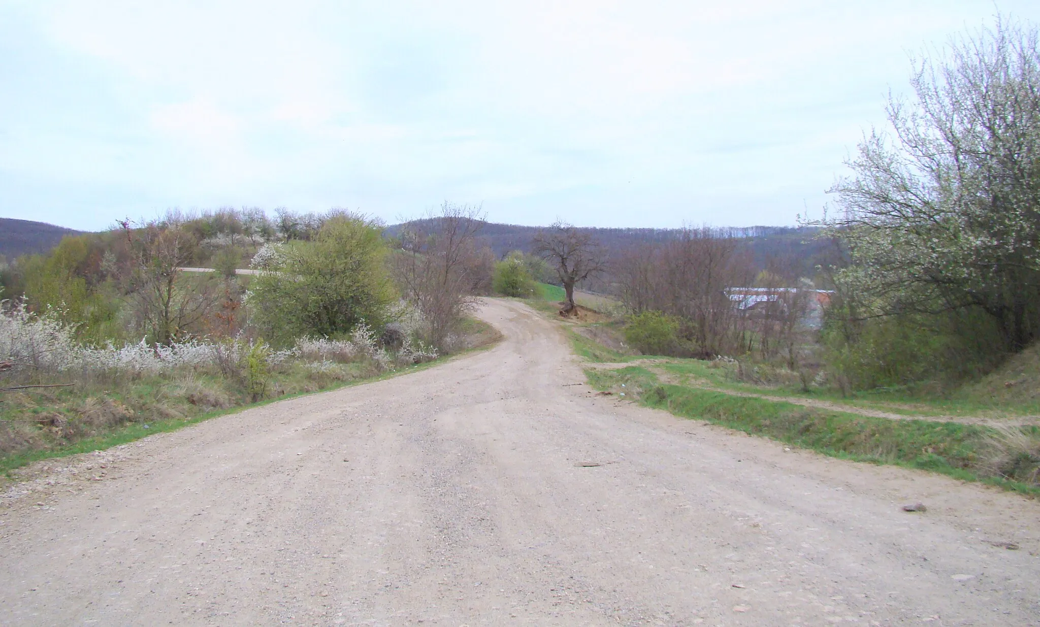 Photo showing: Bruznic, Arad county, Romania