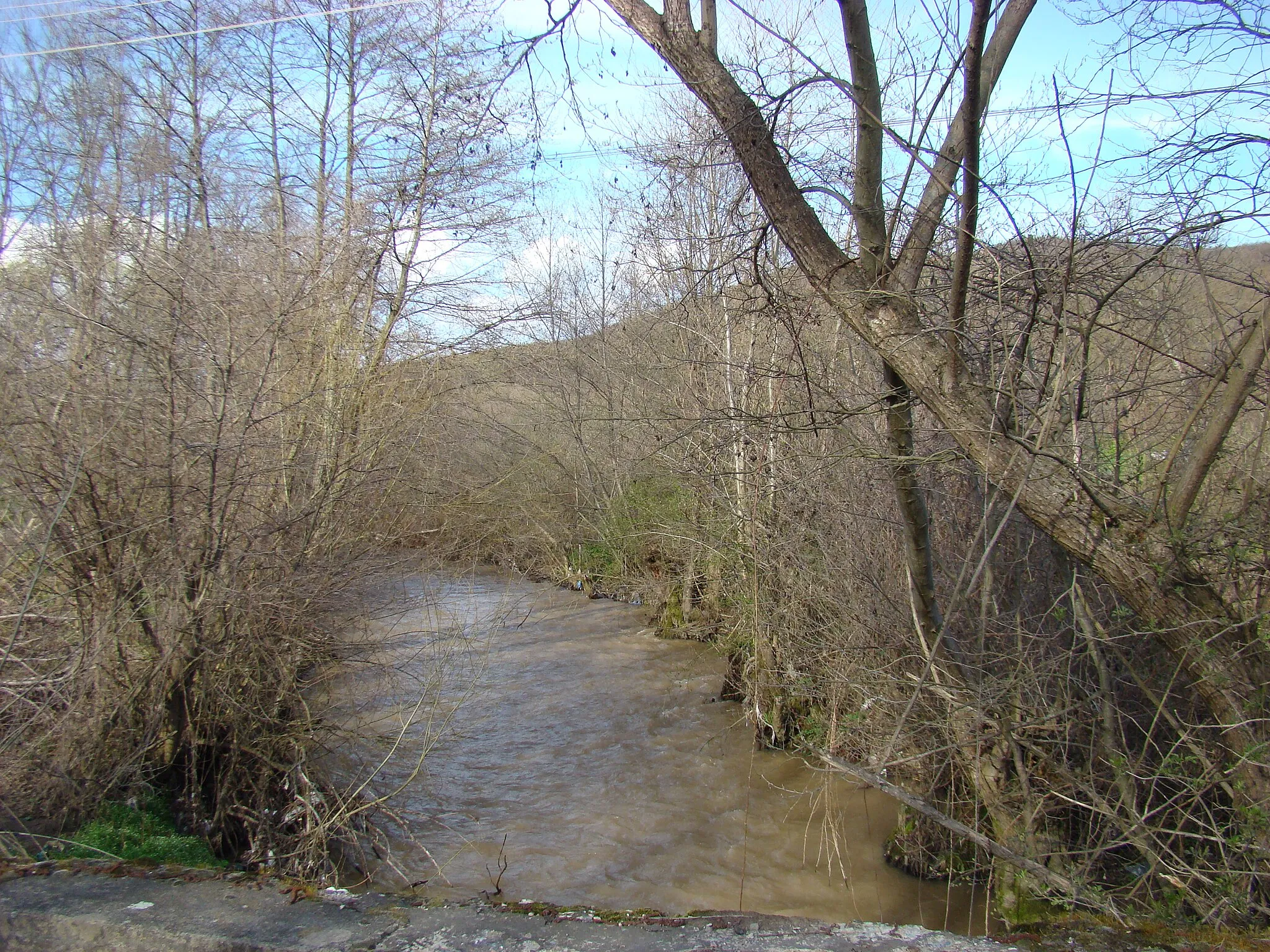 Photo showing: Valea Zimbrului, județul Arad