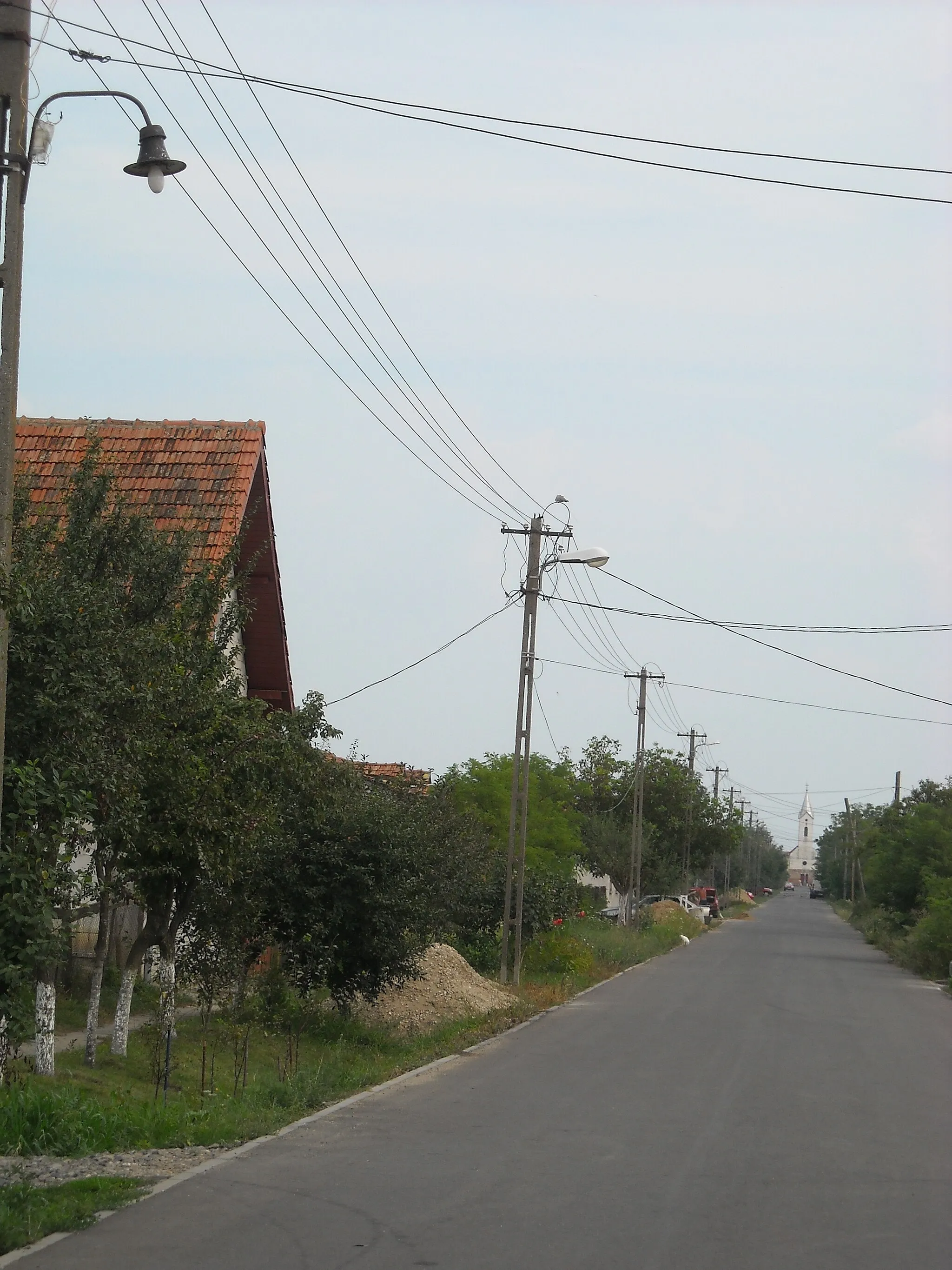 Photo showing: Nagyvarjas/Variaşu Mare in Arad County, Romania