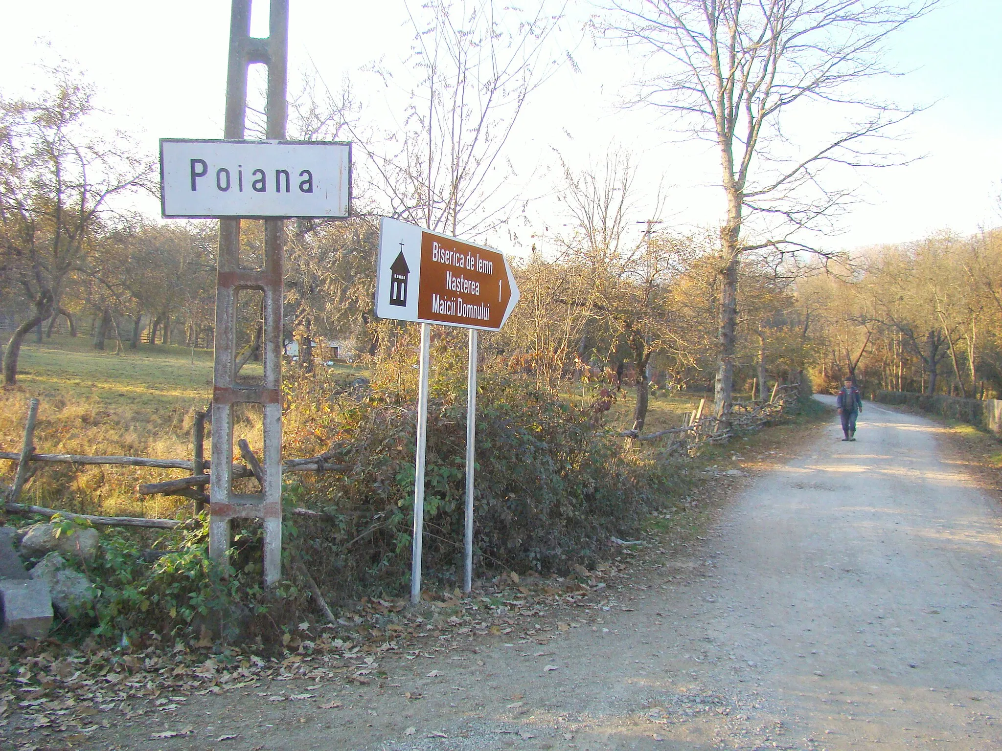 Photo showing: Poiana, județul Arad