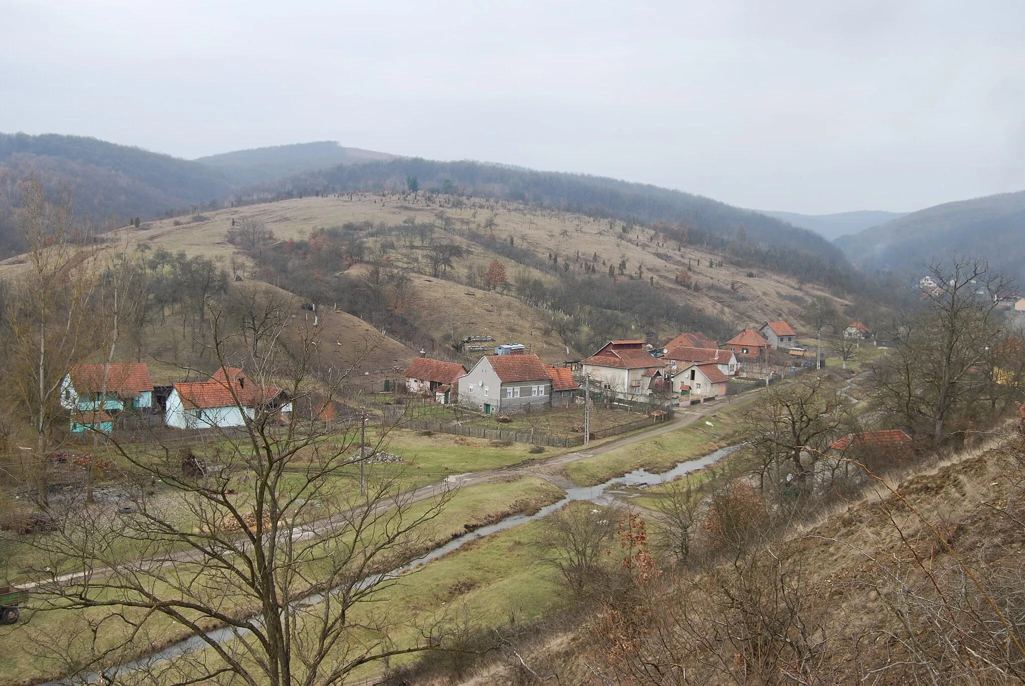 Photo showing: Nicolae Bălcescu, part of Vărădia de Mureş village  Arad County, Romania.