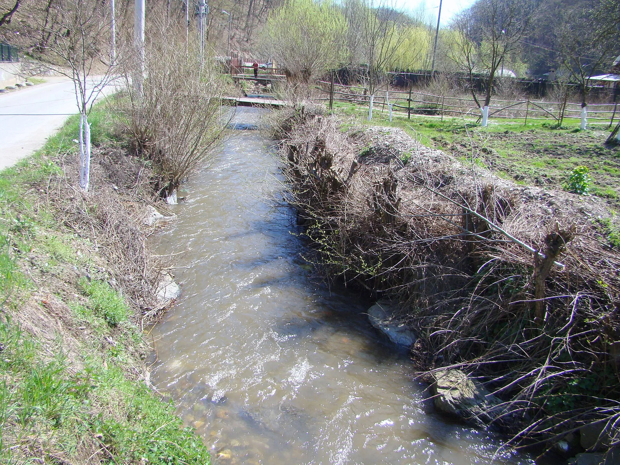 Photo showing: Groș, Hunedoara county, Romania