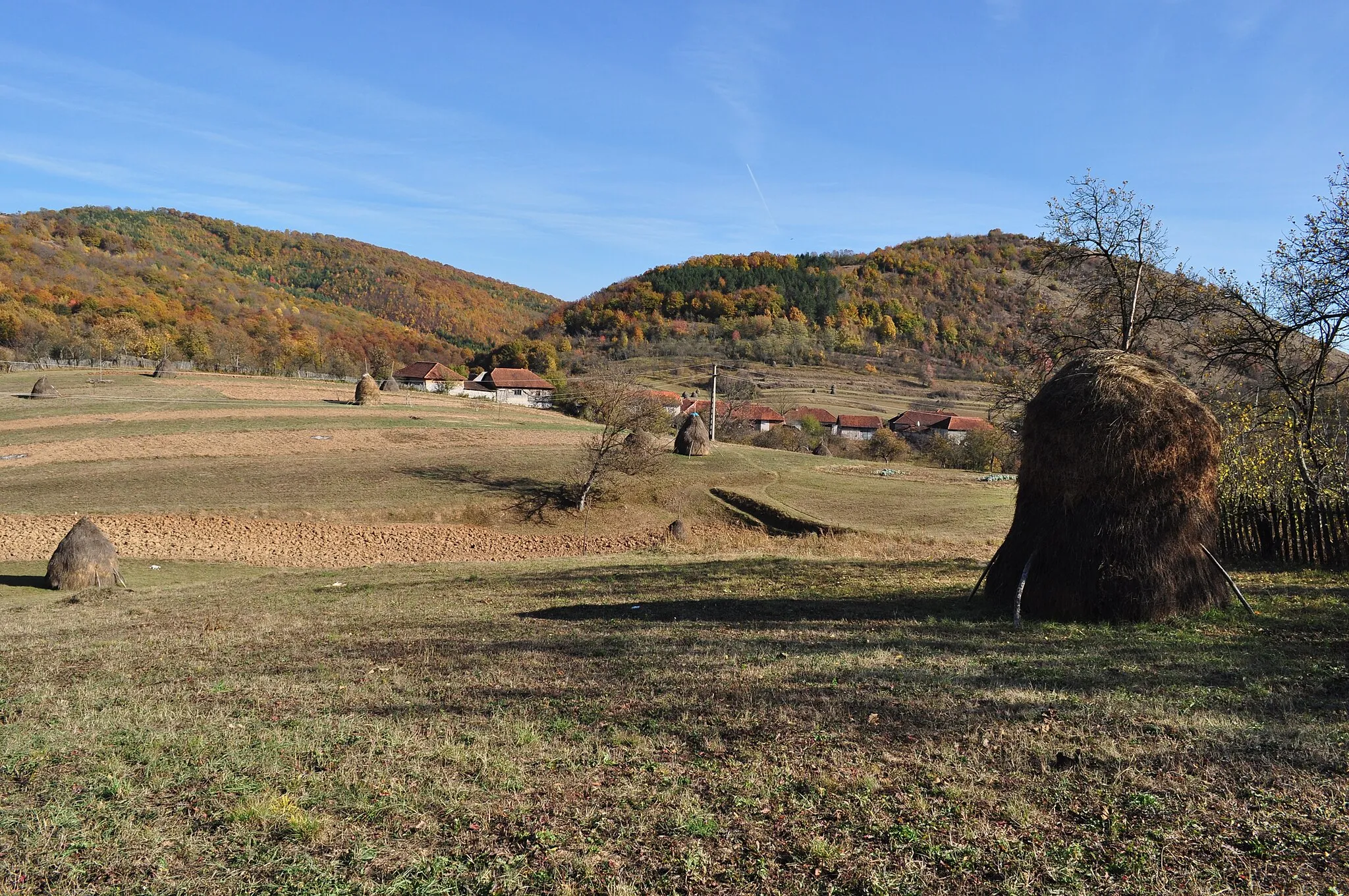 Photo showing: Colești, județul Bihor