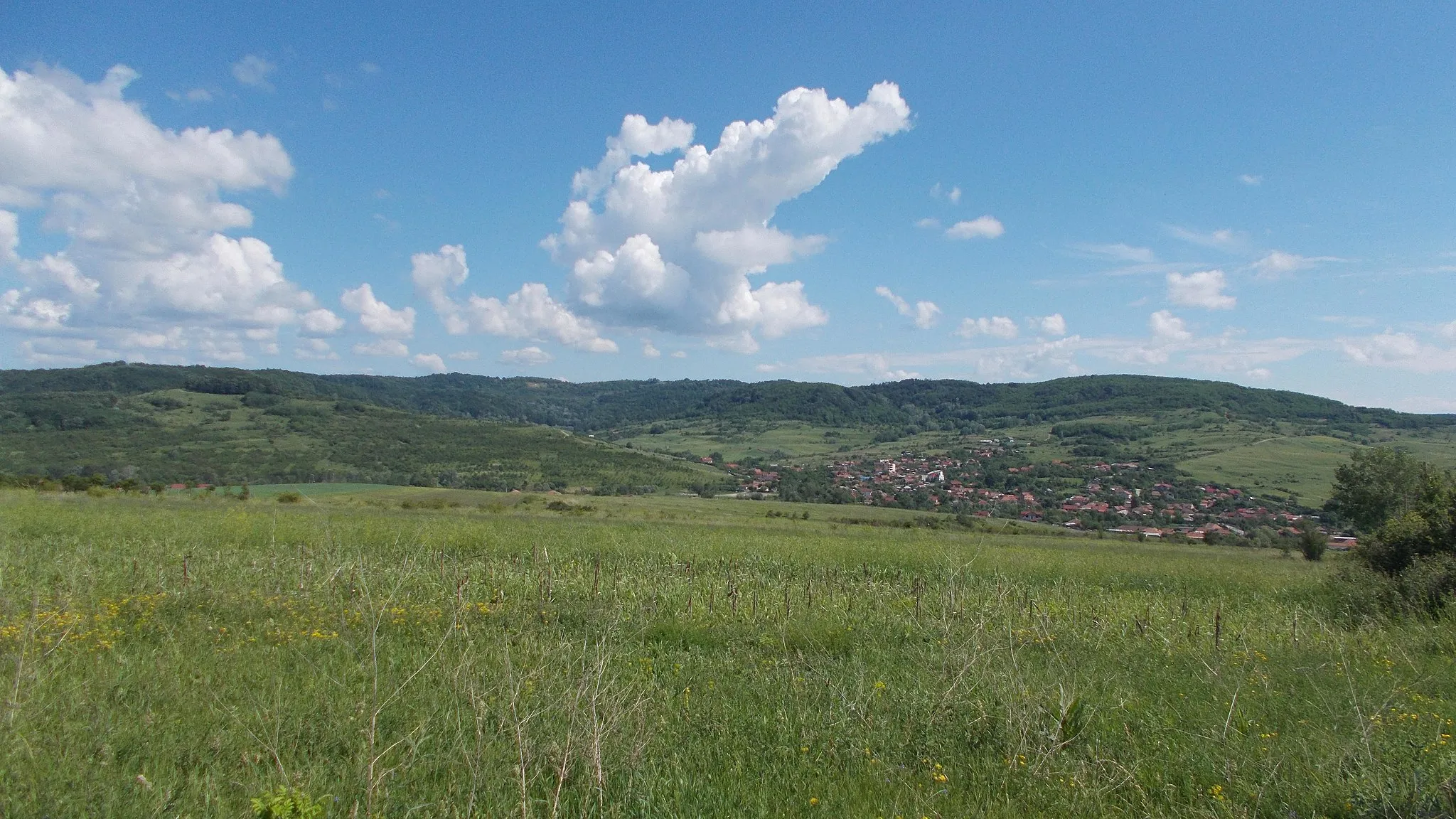 Photo showing: Malovăț, Mehedinți County, Romania