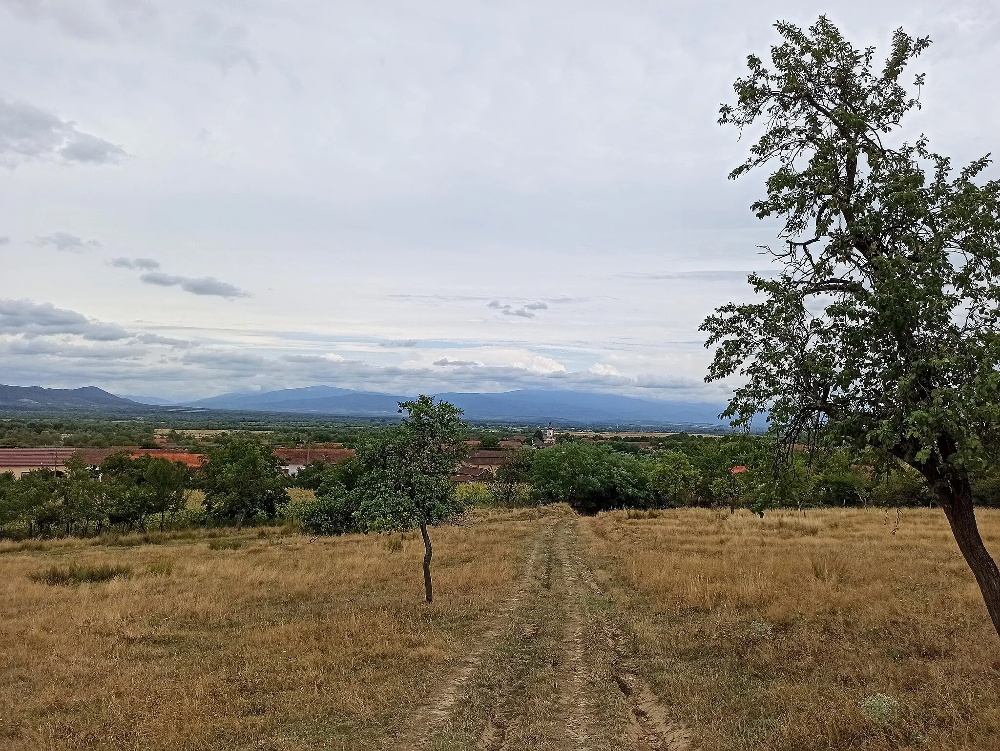Photo showing: Mâtnicu Mare, vedere de pe deal, 18 August 2021