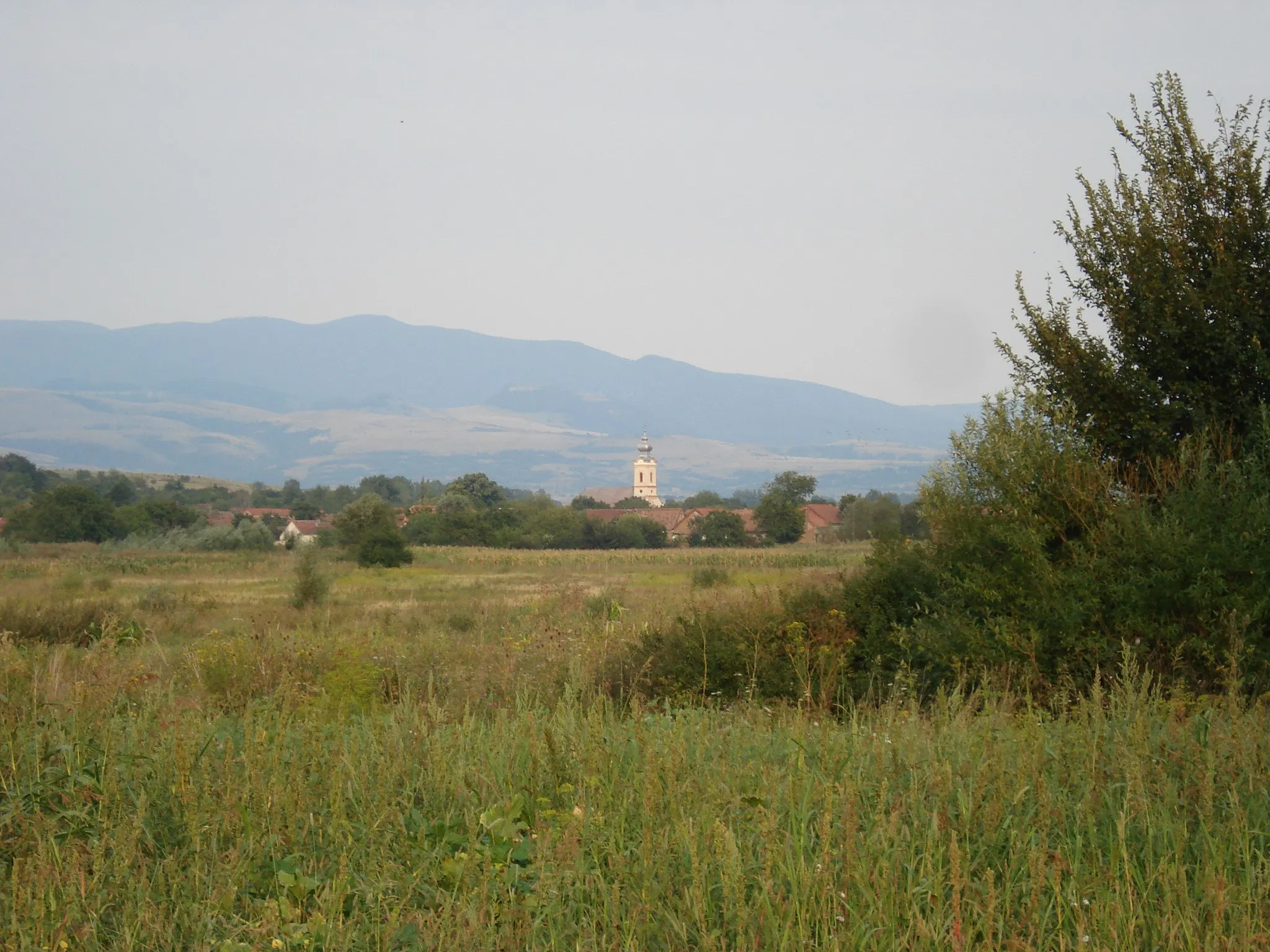 Photo showing: Vedere, Ciuchici