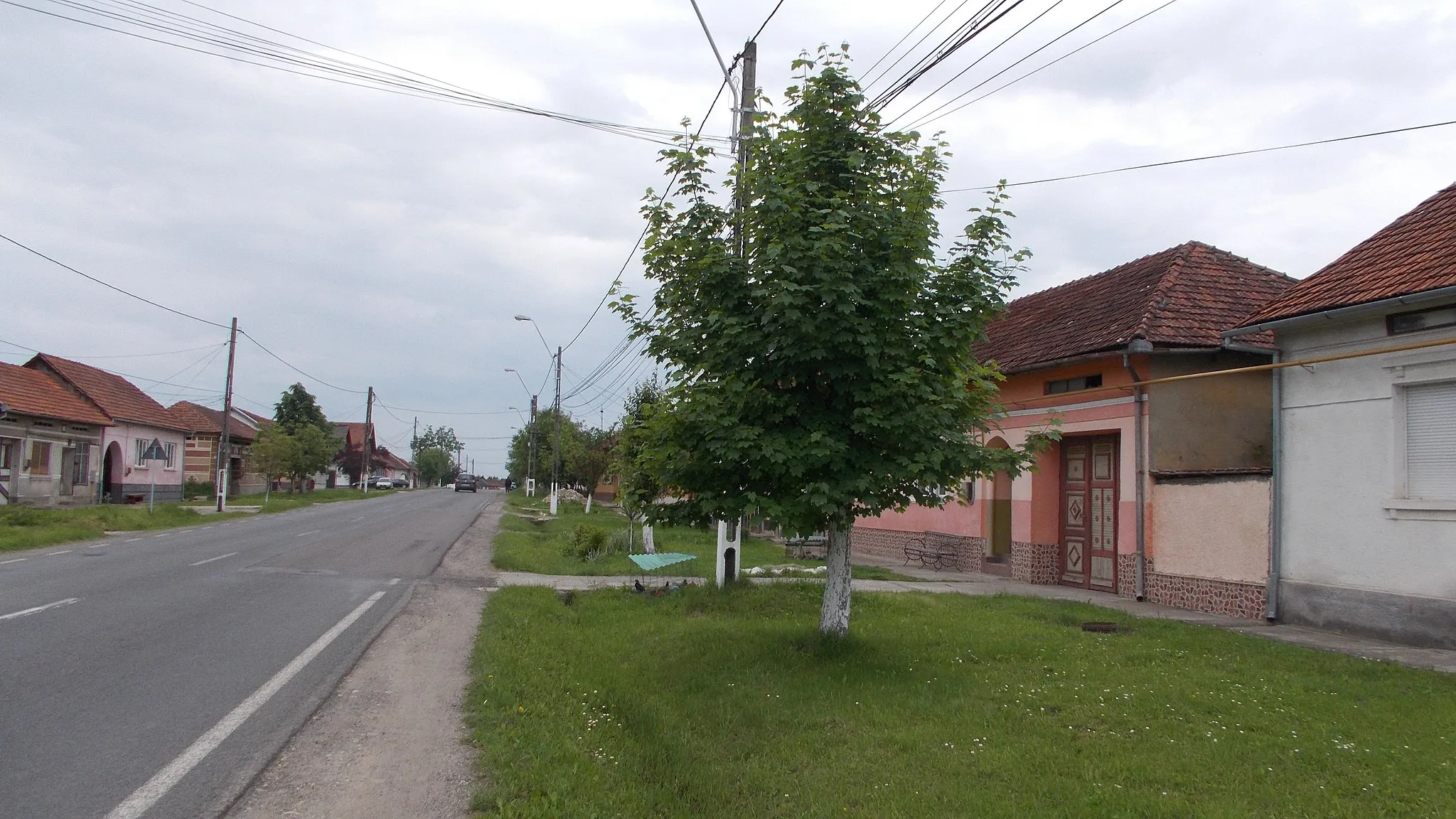 Photo showing: Valea Bistrei, Caraș-Severin County, Romania