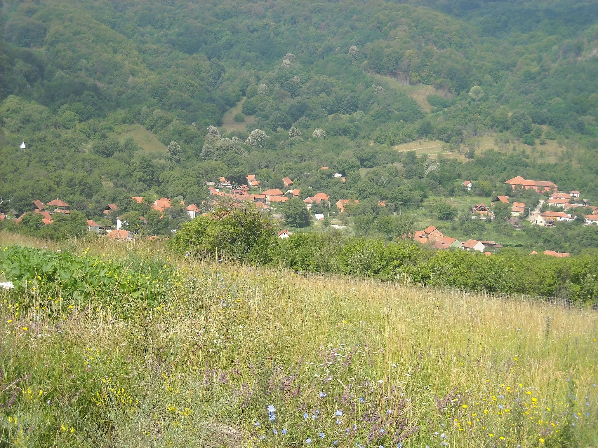 Photo showing: view of Chergheș village in Hunedoara County