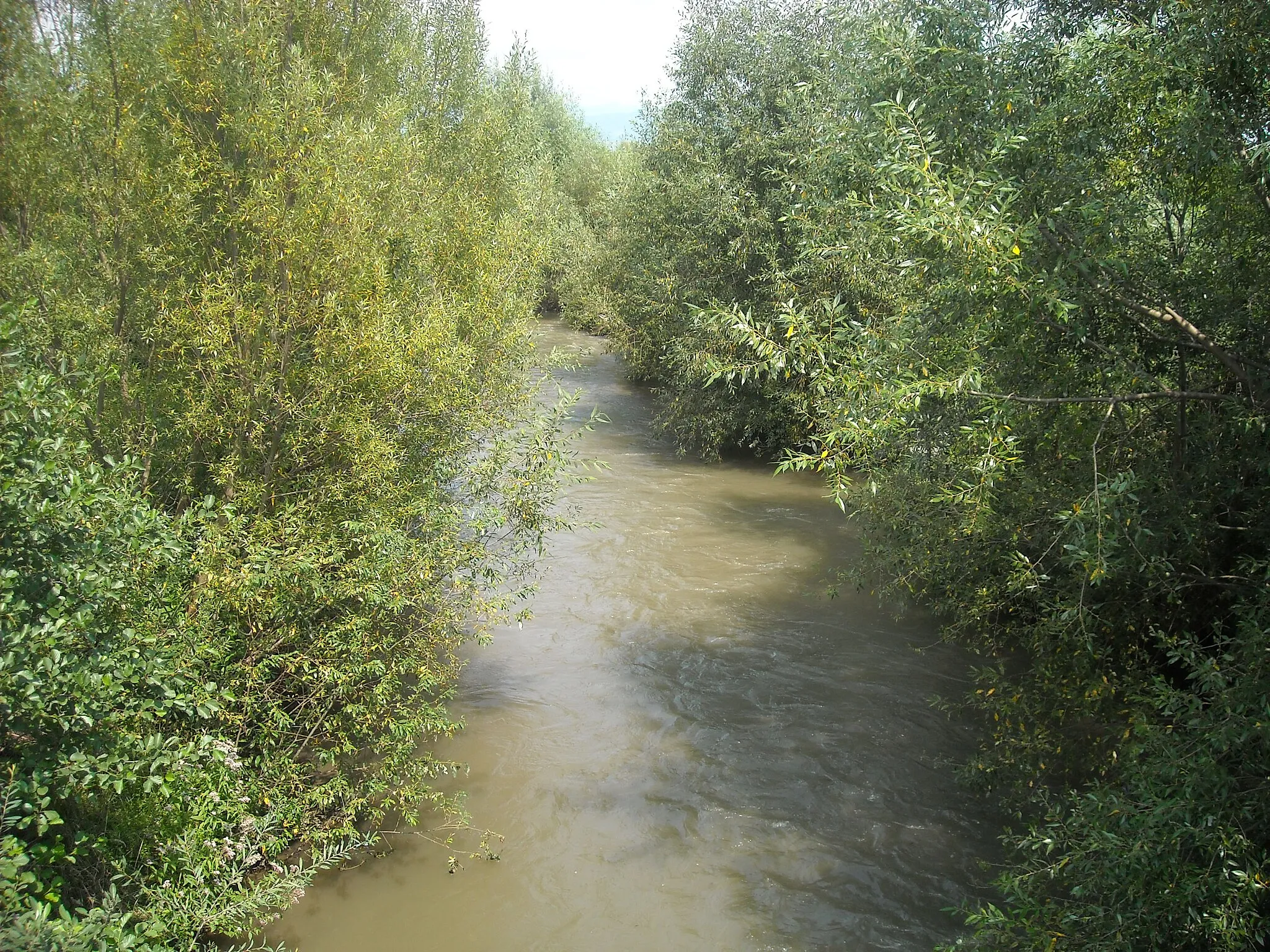 Photo showing: the Cerna River at Bârcea Mare village, Hunedoara County, Romania