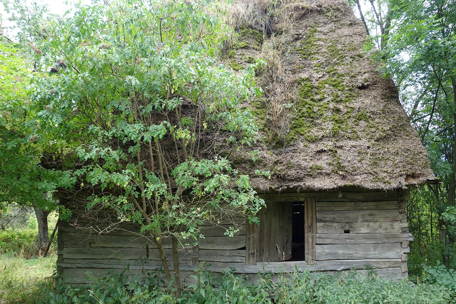 Photo showing: Thatched house in Ticera
