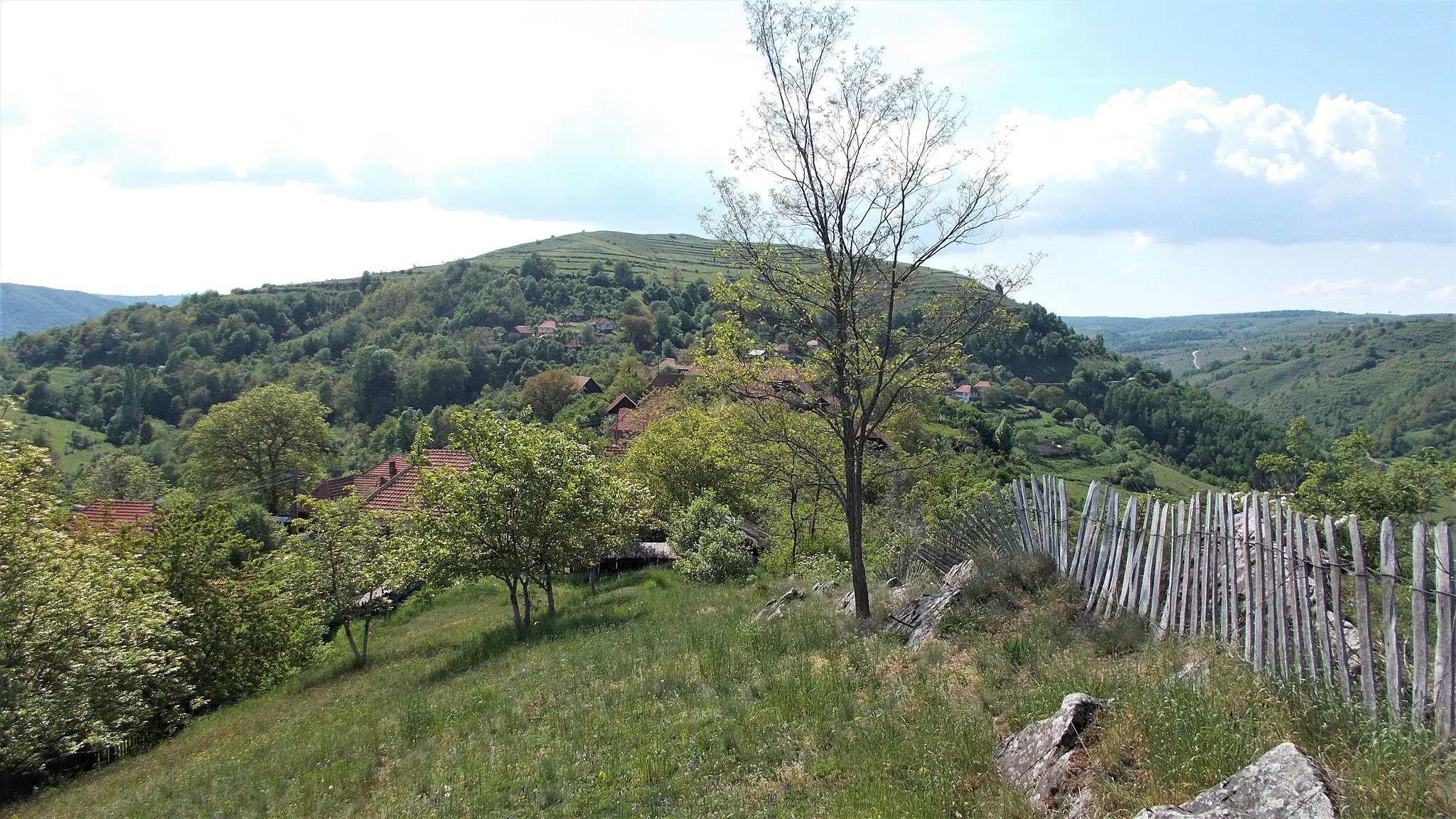 Photo showing: Poienița Voinii, Hunedoara County, Romania