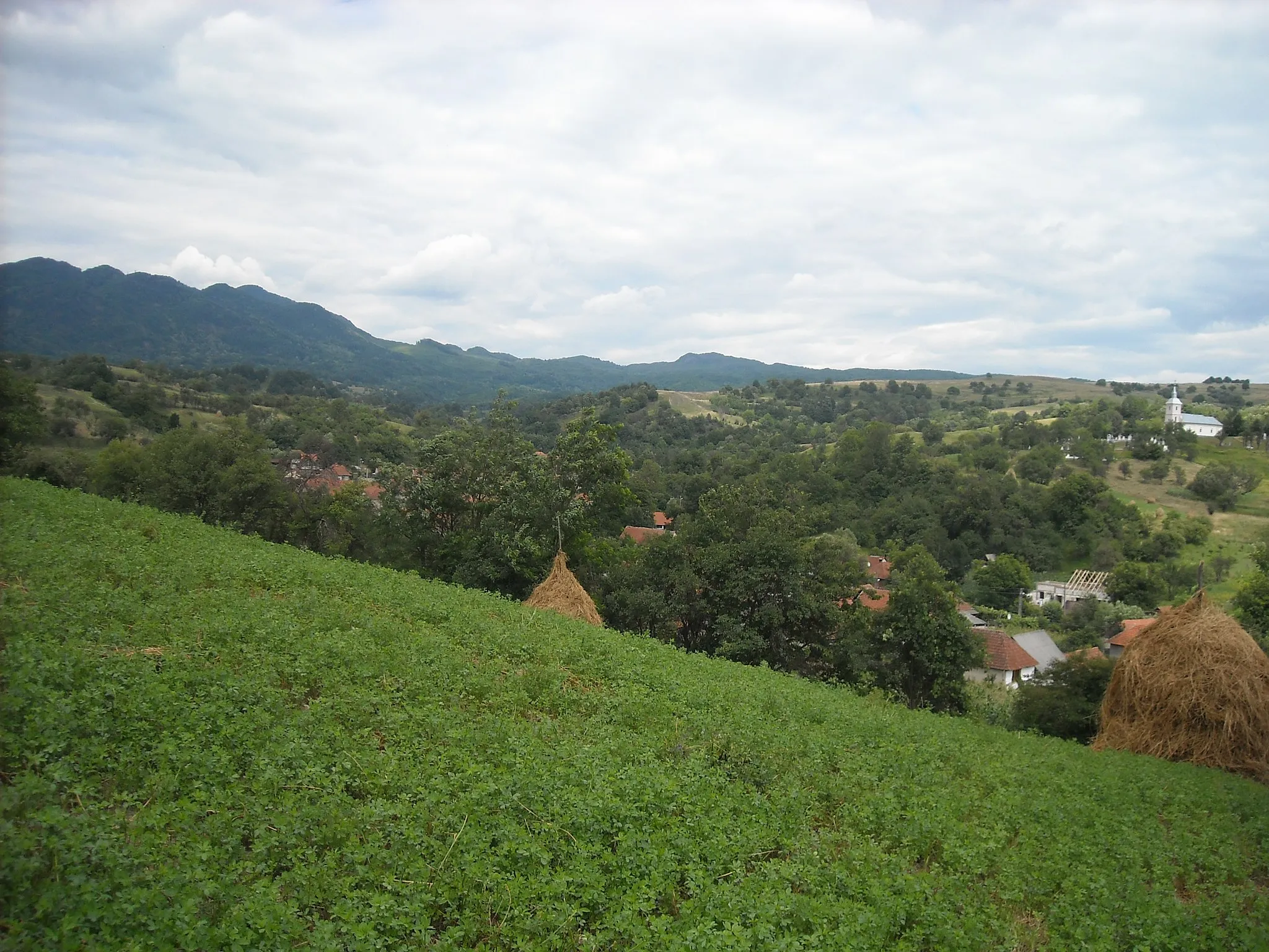 Photo showing: Vărmaga village