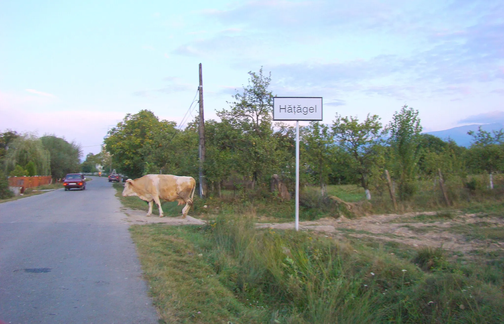 Photo showing: Hățăgel, Hunedoara