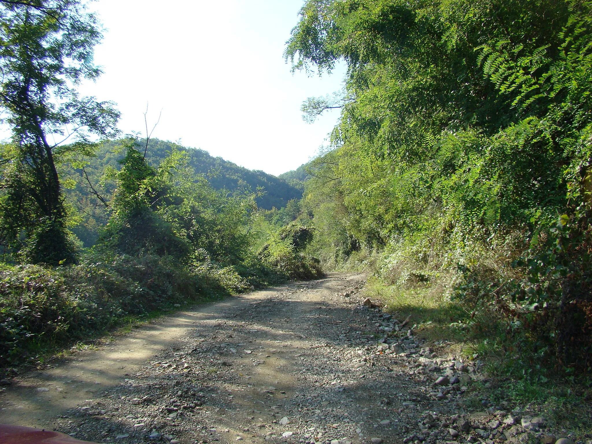 Photo showing: Dumbrava de Sus, județul Hunedoara