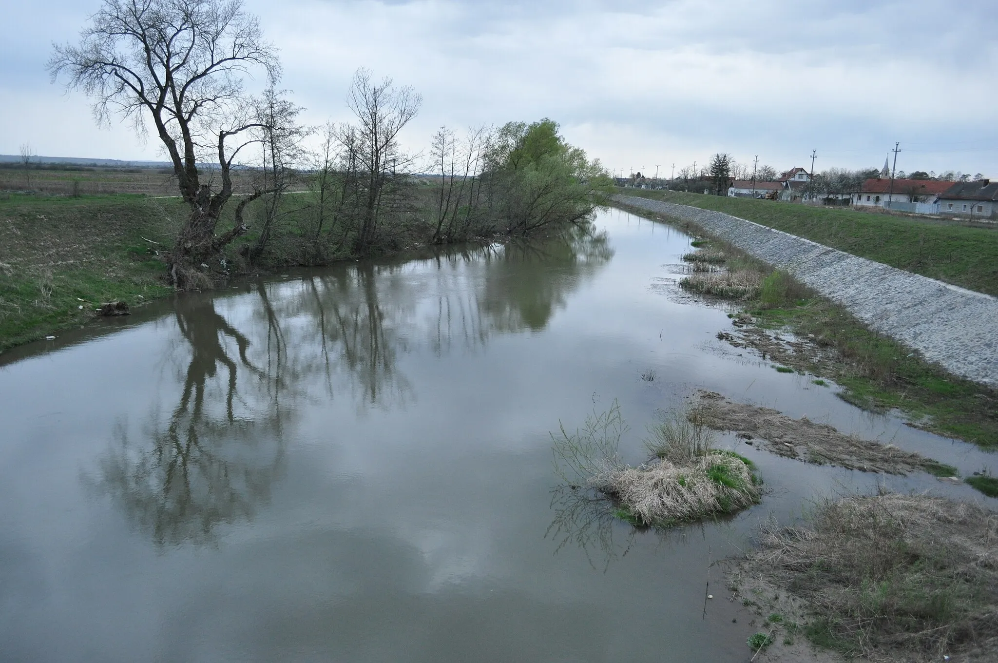 Photo showing: Râul Bega la Bethausen, Timiș