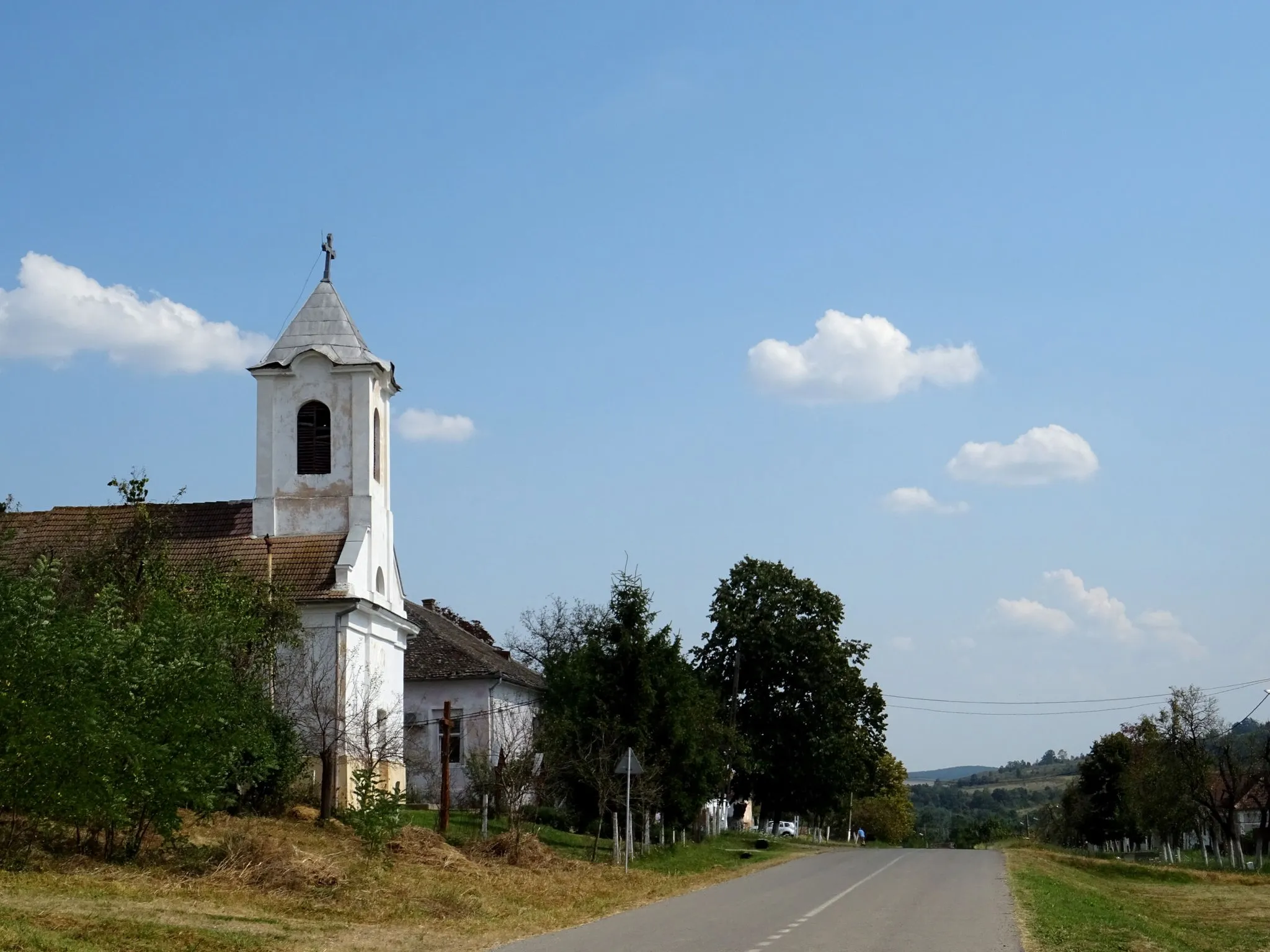 Photo showing: Main street of Bogda, Timiș county, Romania