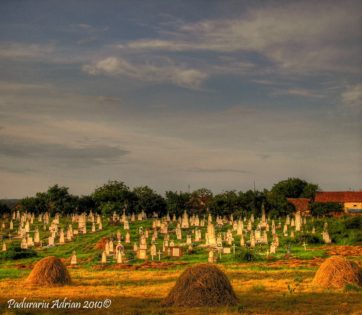 Photo showing: cimitirul...vedere panoramica de la intare