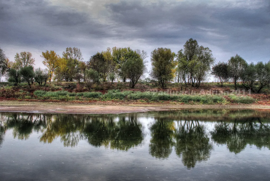 Photo showing: Autumn landscape on river Timis