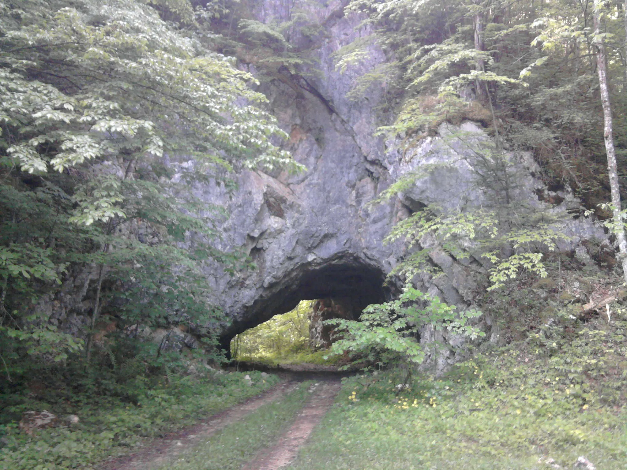 Photo showing: Tunnel near stream Miniș