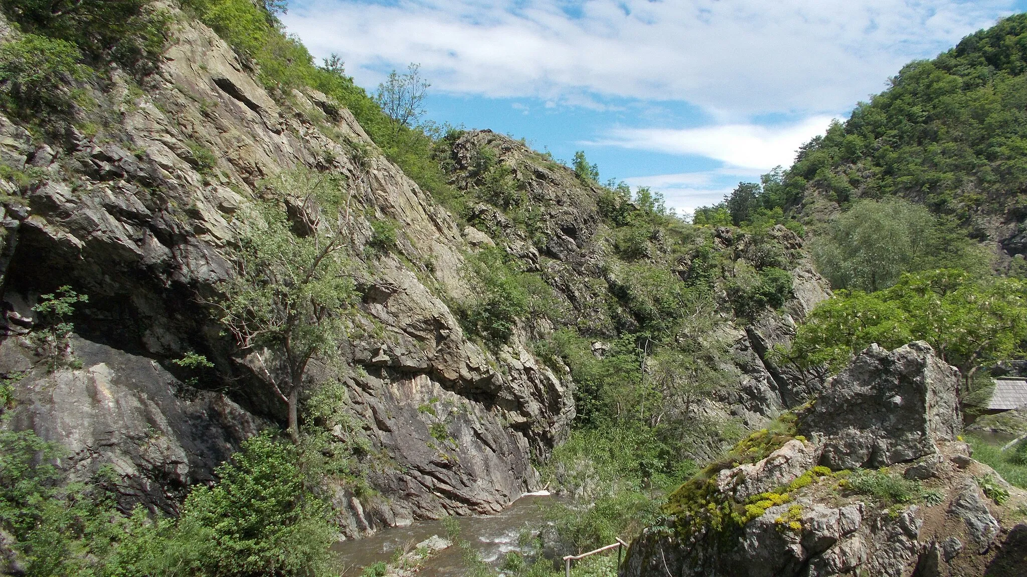 Photo showing: Rezervația naturală Cheile Rudăriei (20 mai 2019)