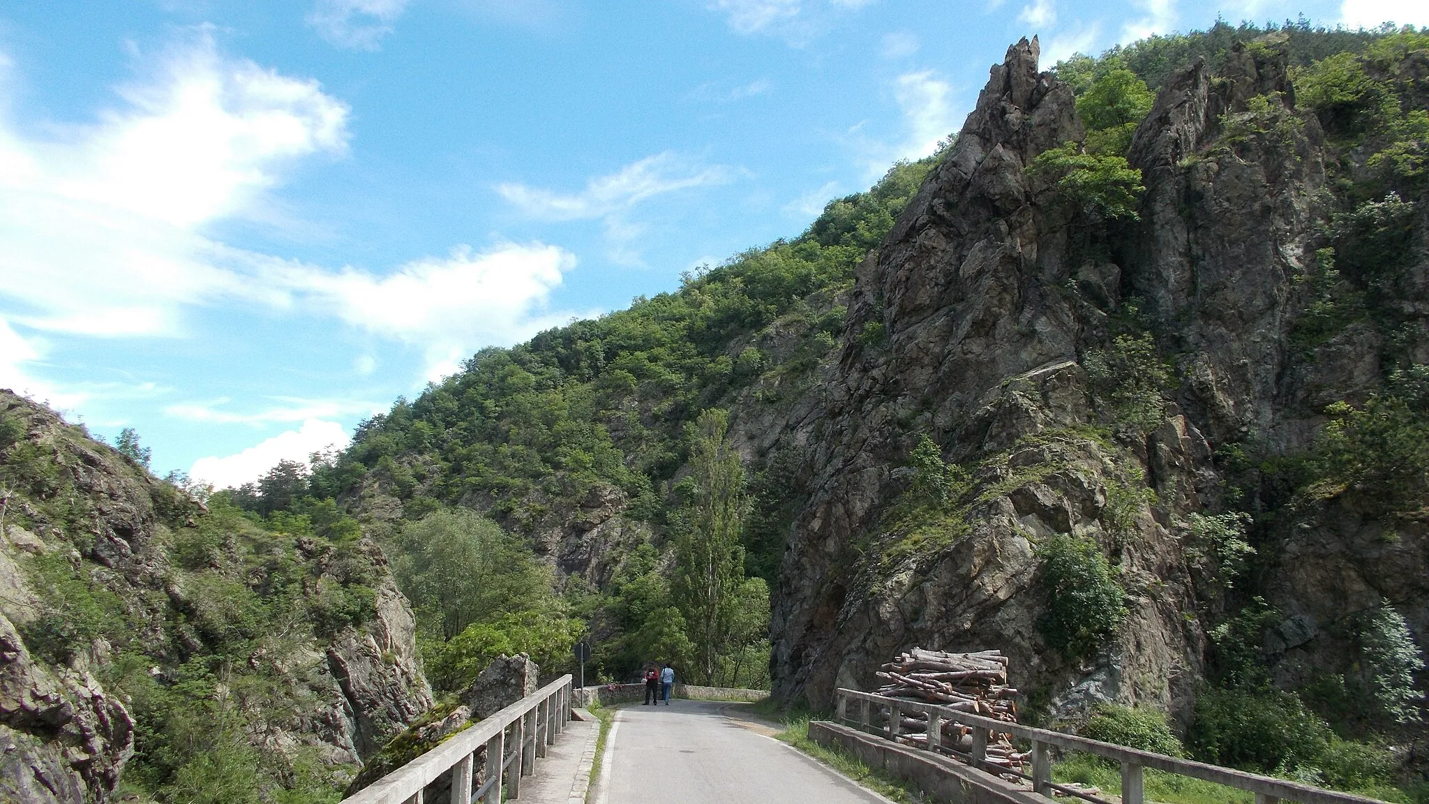 Photo showing: Rezervația naturală Cheile Rudăriei