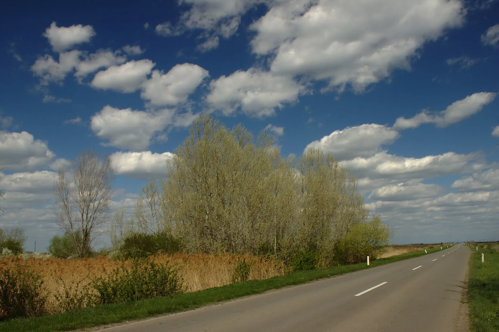 Photo showing: A road from Velika Greda to Vršac in the eastern Vojvodina, Serbia