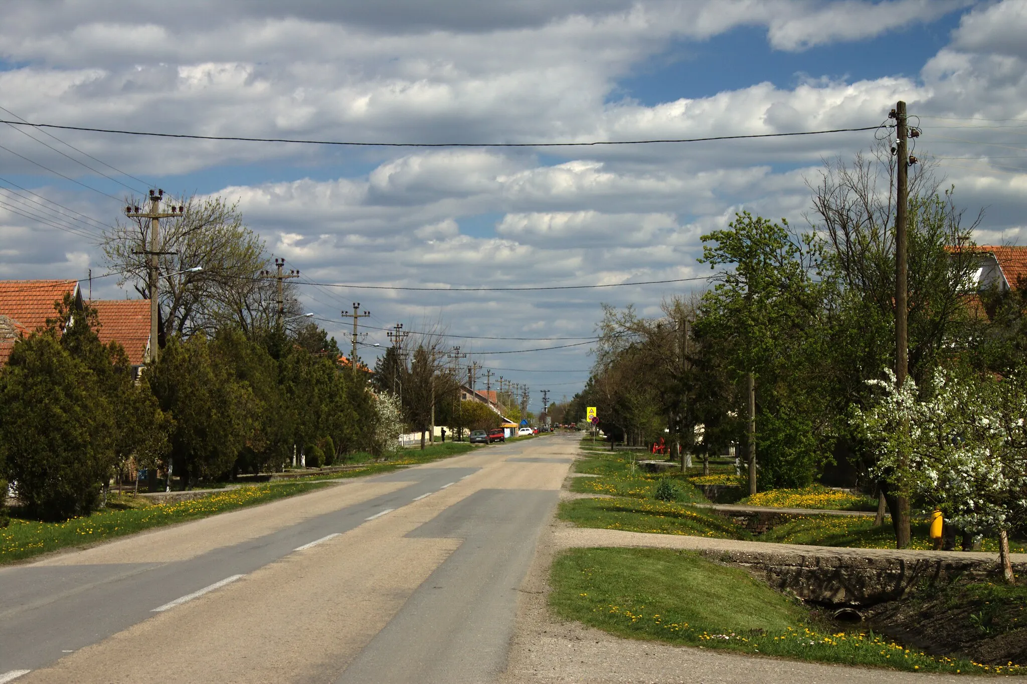 Photo showing: Main road in the town of Velika Greda in the eastern Vojvodina, close to Vršac