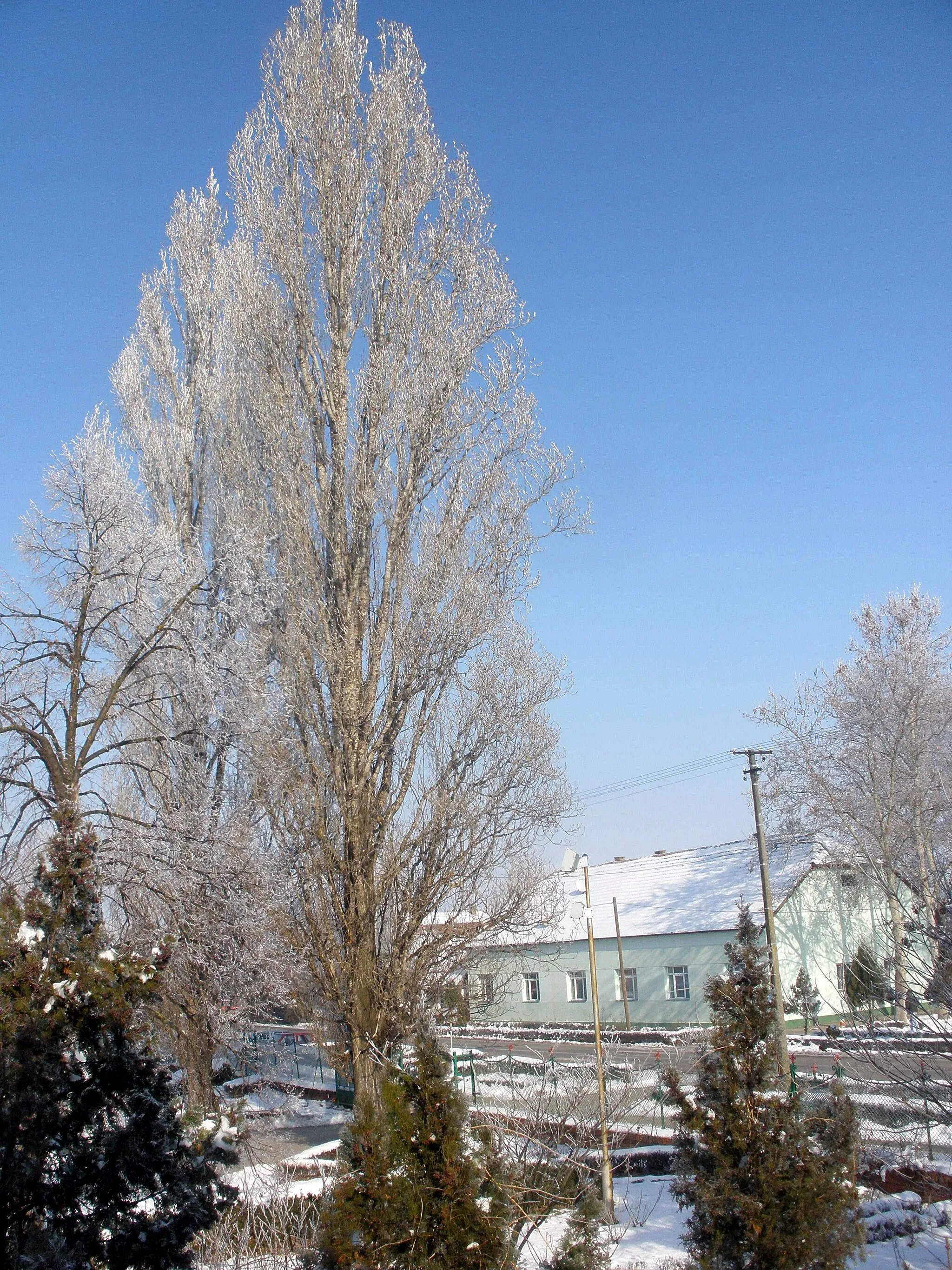 Photo showing: "Teretana" or room for sport-trenning in Mužlja