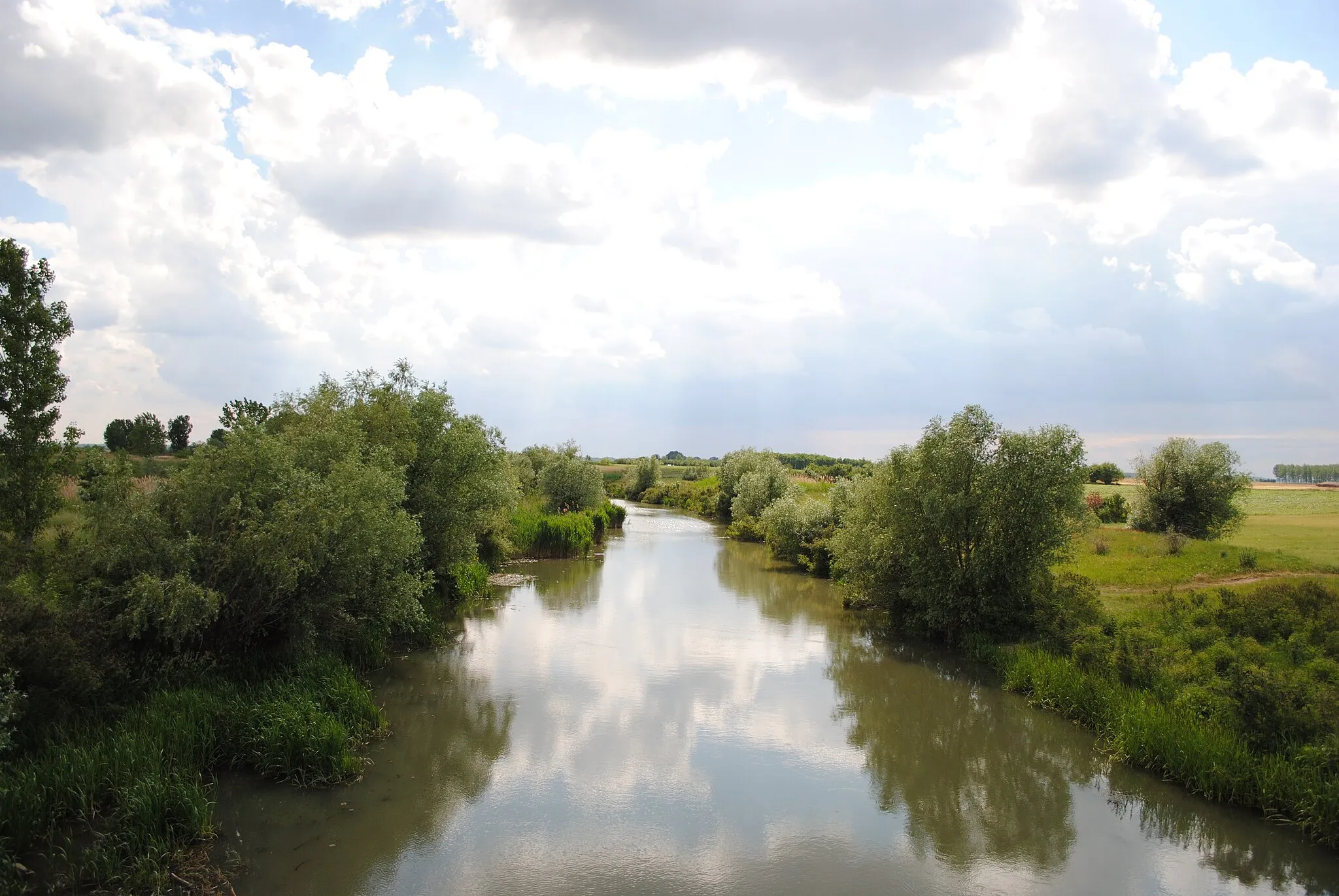 Photo showing: River Zlatica, in Banat, Serbia