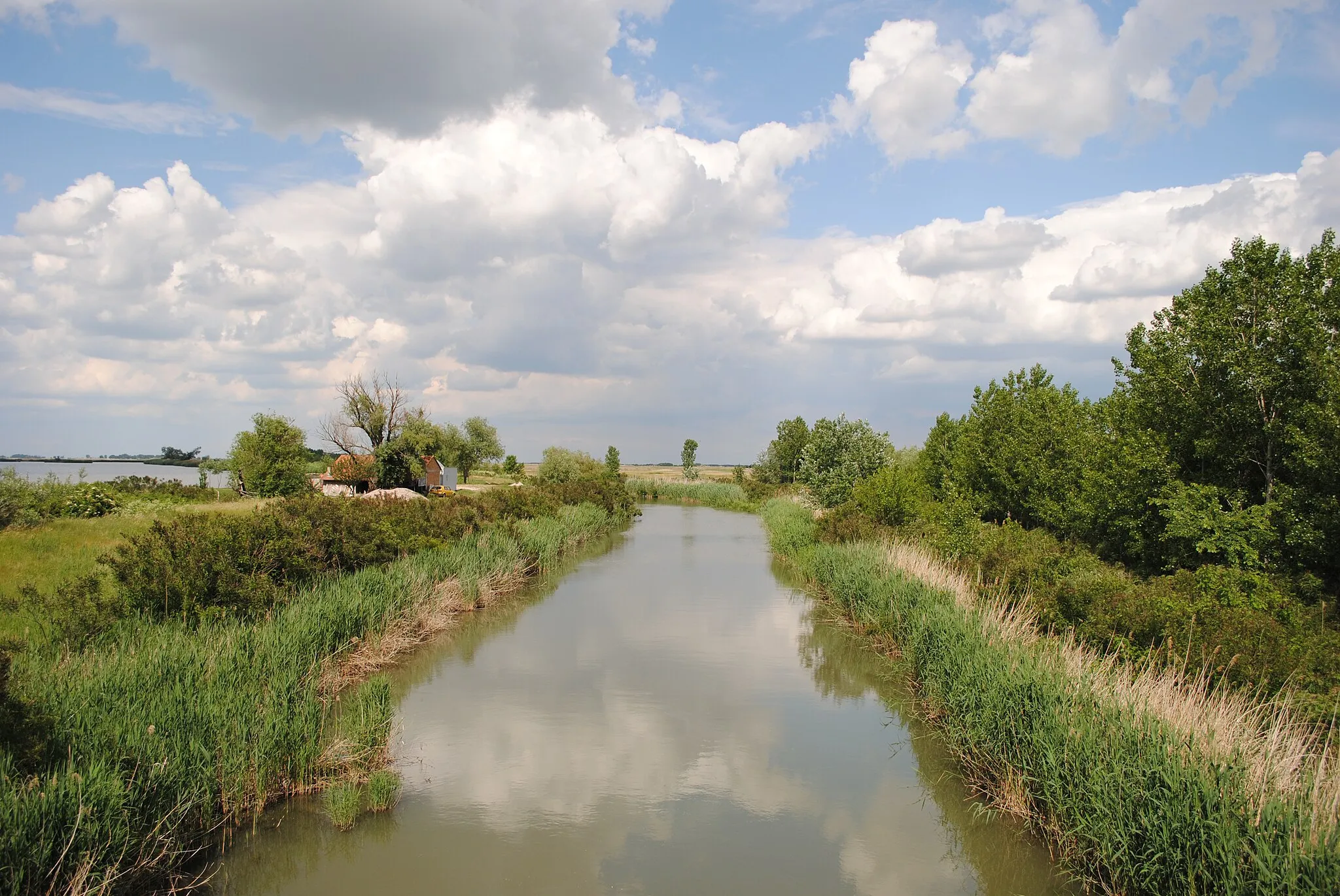 Photo showing: River Zlatica in Banat, Serbia