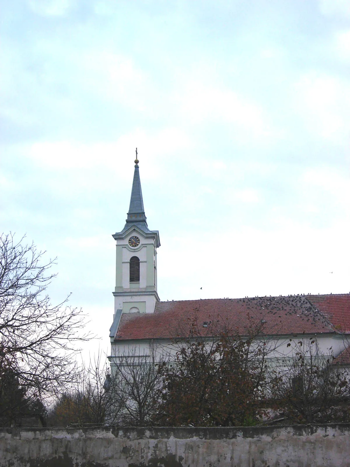 Photo showing: The Assumption of Our Lord Jesus Christ Catholic Church in Riđica.