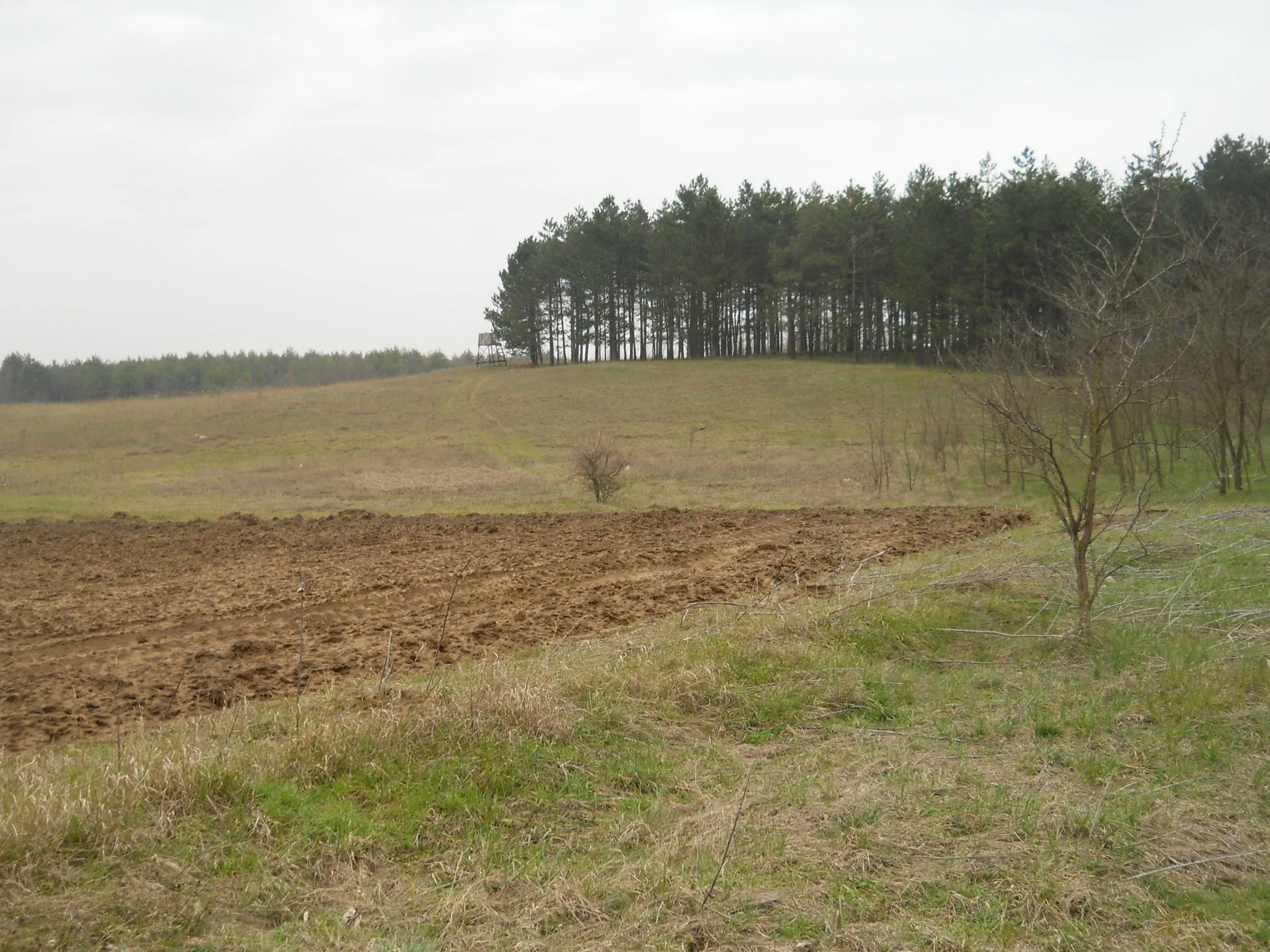 Photo showing: Bátmonostor - tájkép a község határában, a falutól délre