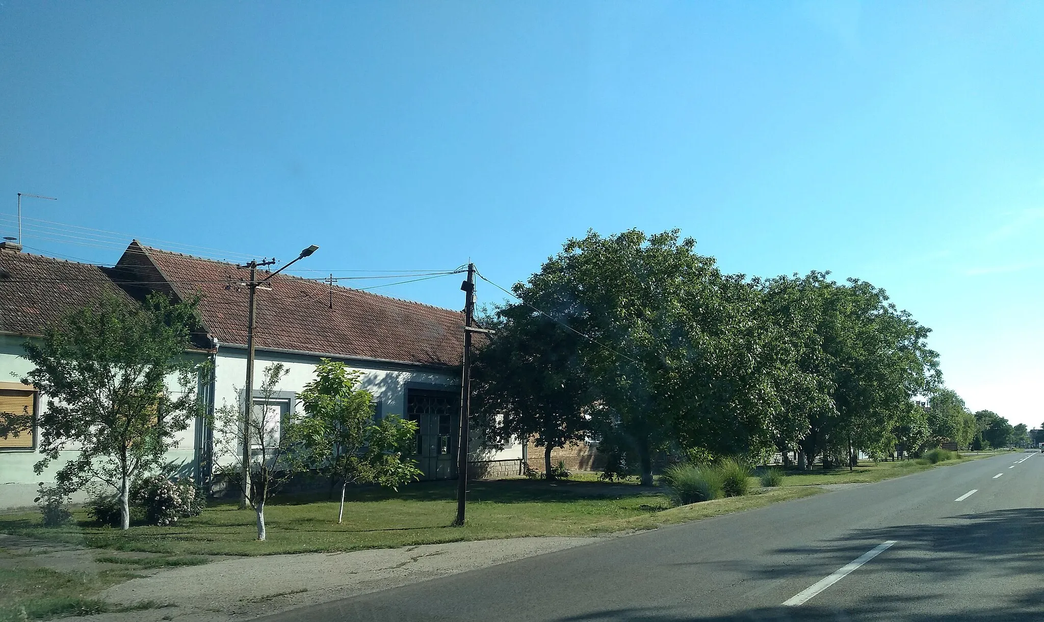Photo showing: Banatsko Novo selo, view from the main road