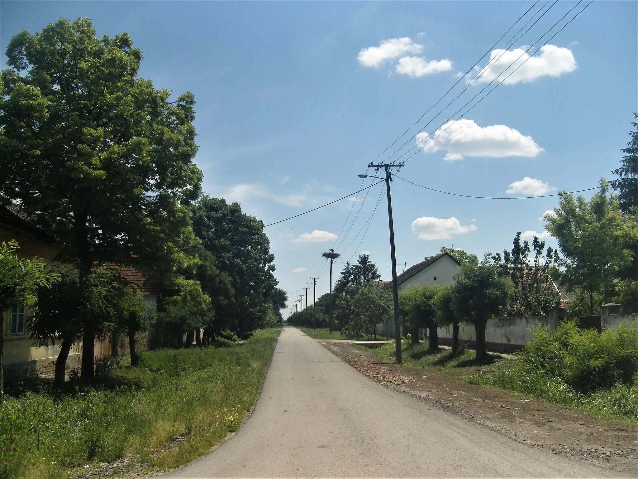 Photo showing: Street in village Hetin in municipality Žitište, Serbia