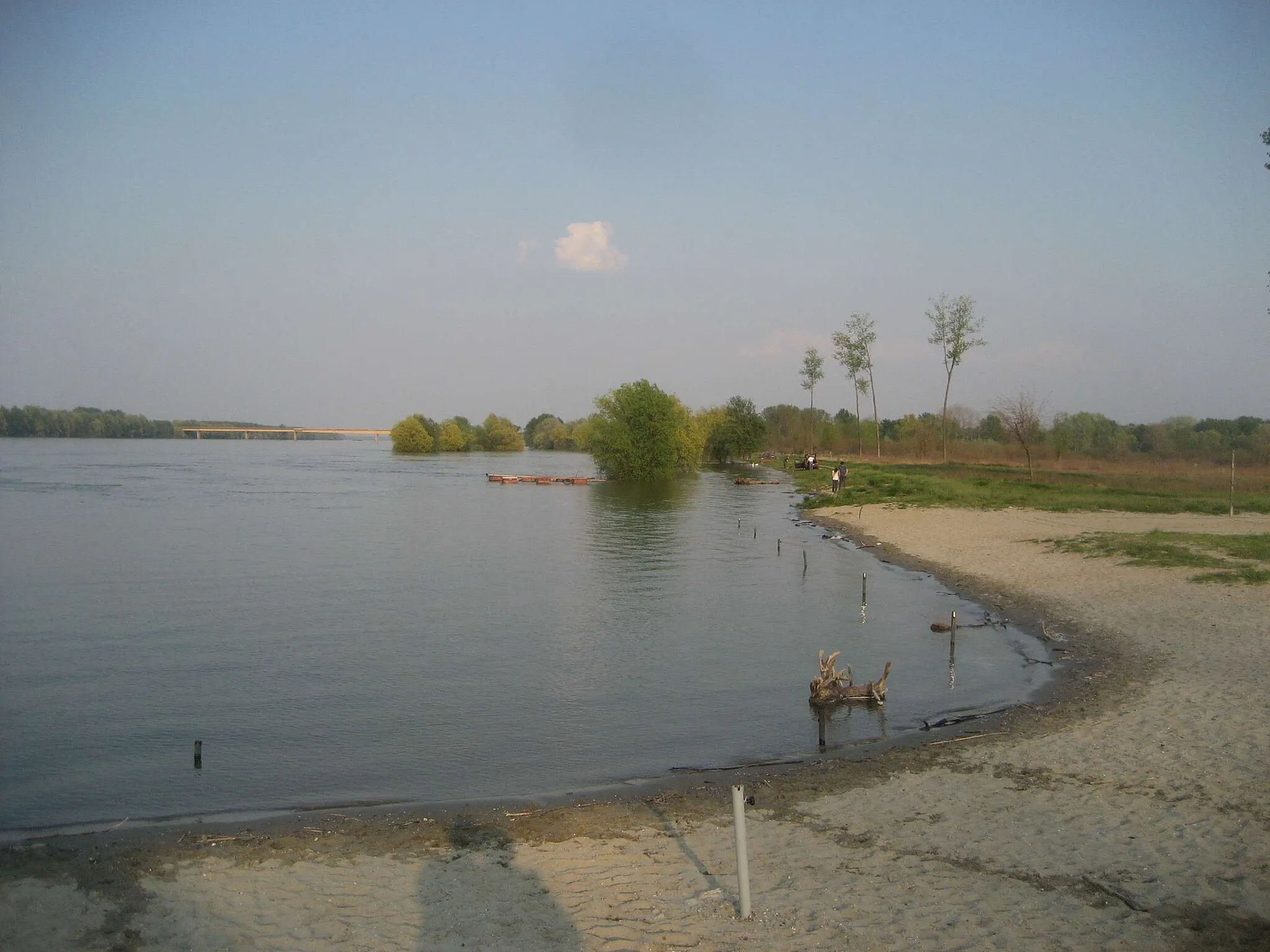 Photo showing: Danube in Ilok, Croatia