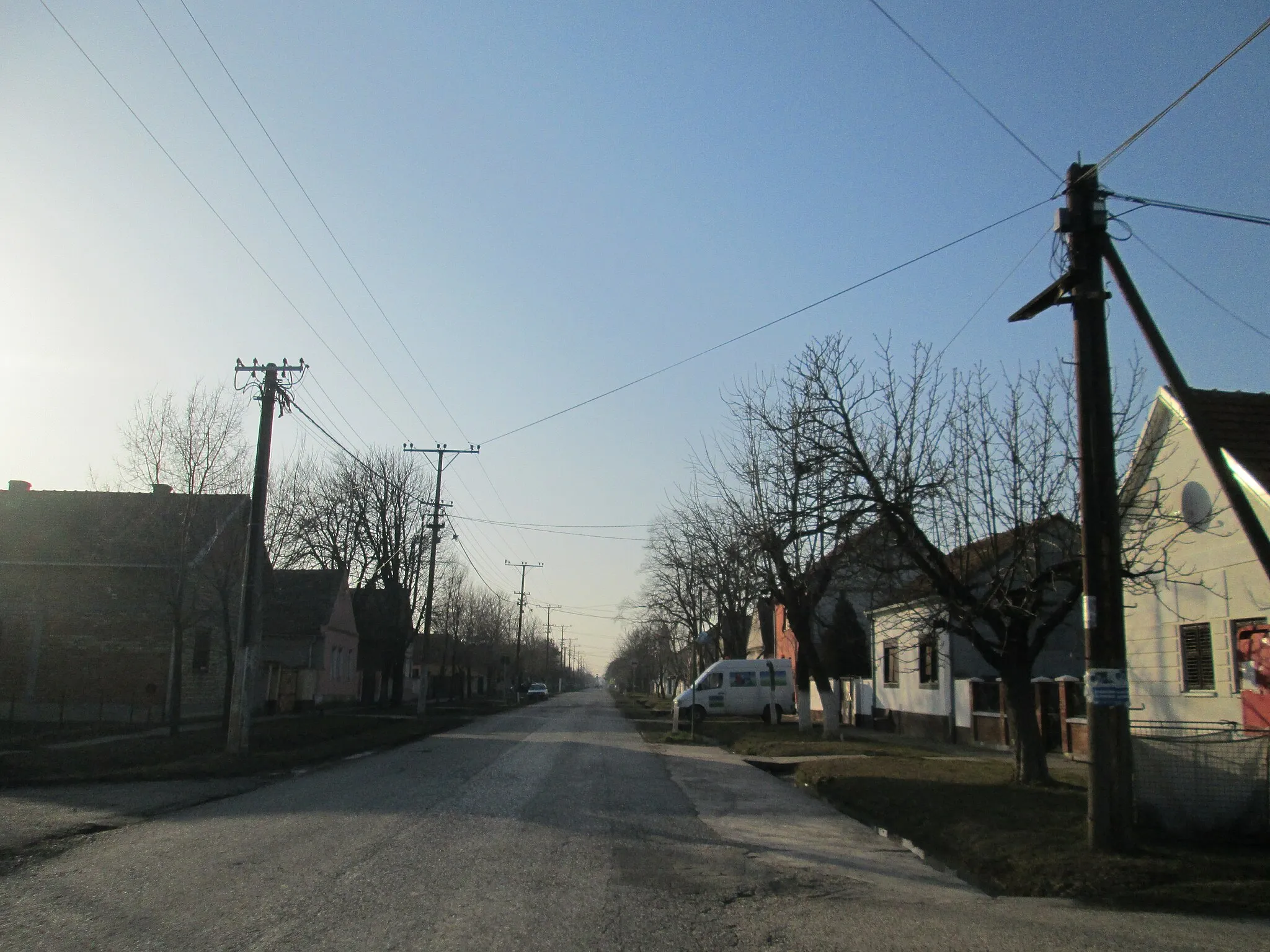 Photo showing: Street in Petrovčić