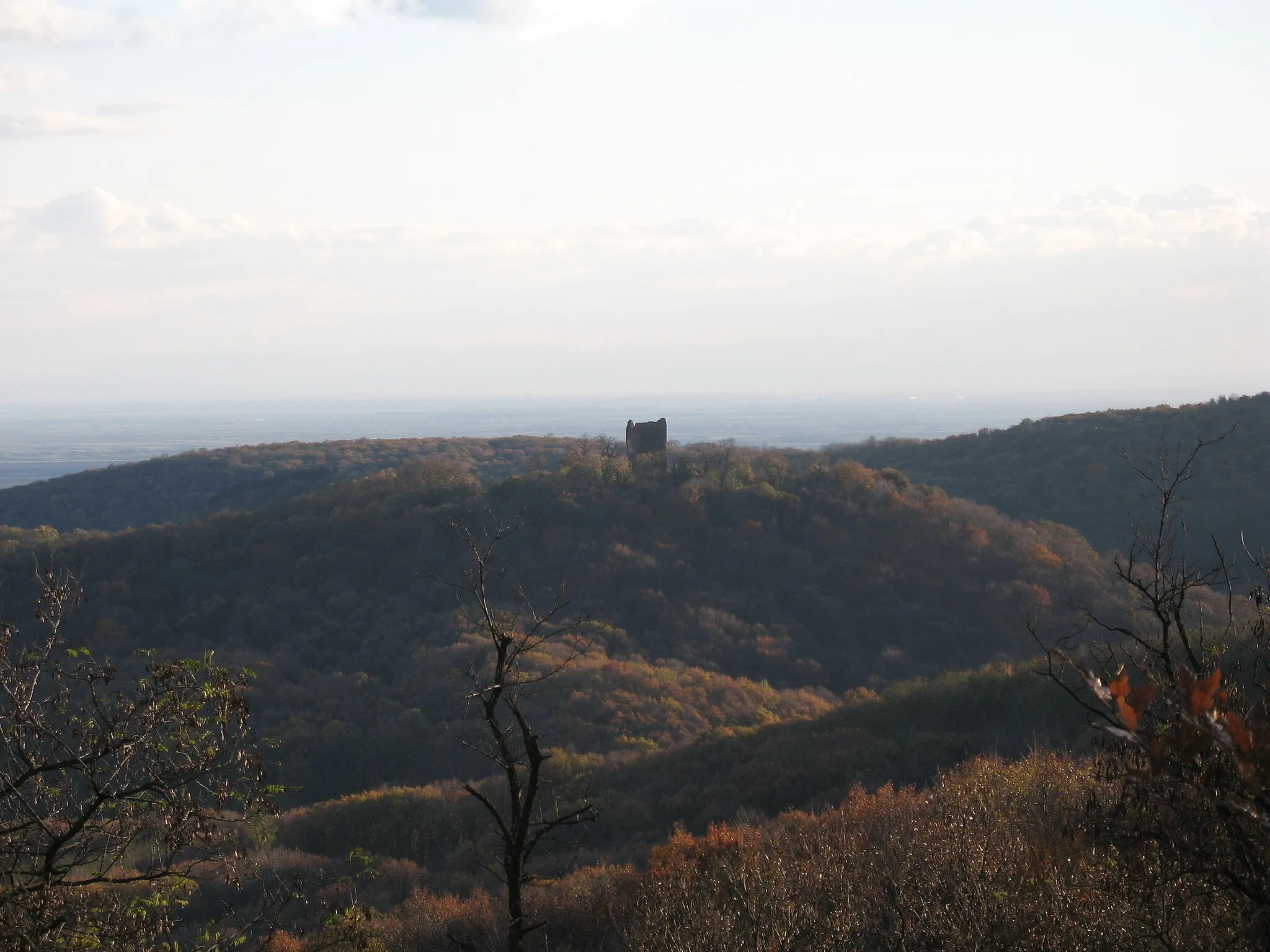Photo showing: Vrdnik and his tower from Fruška Gora