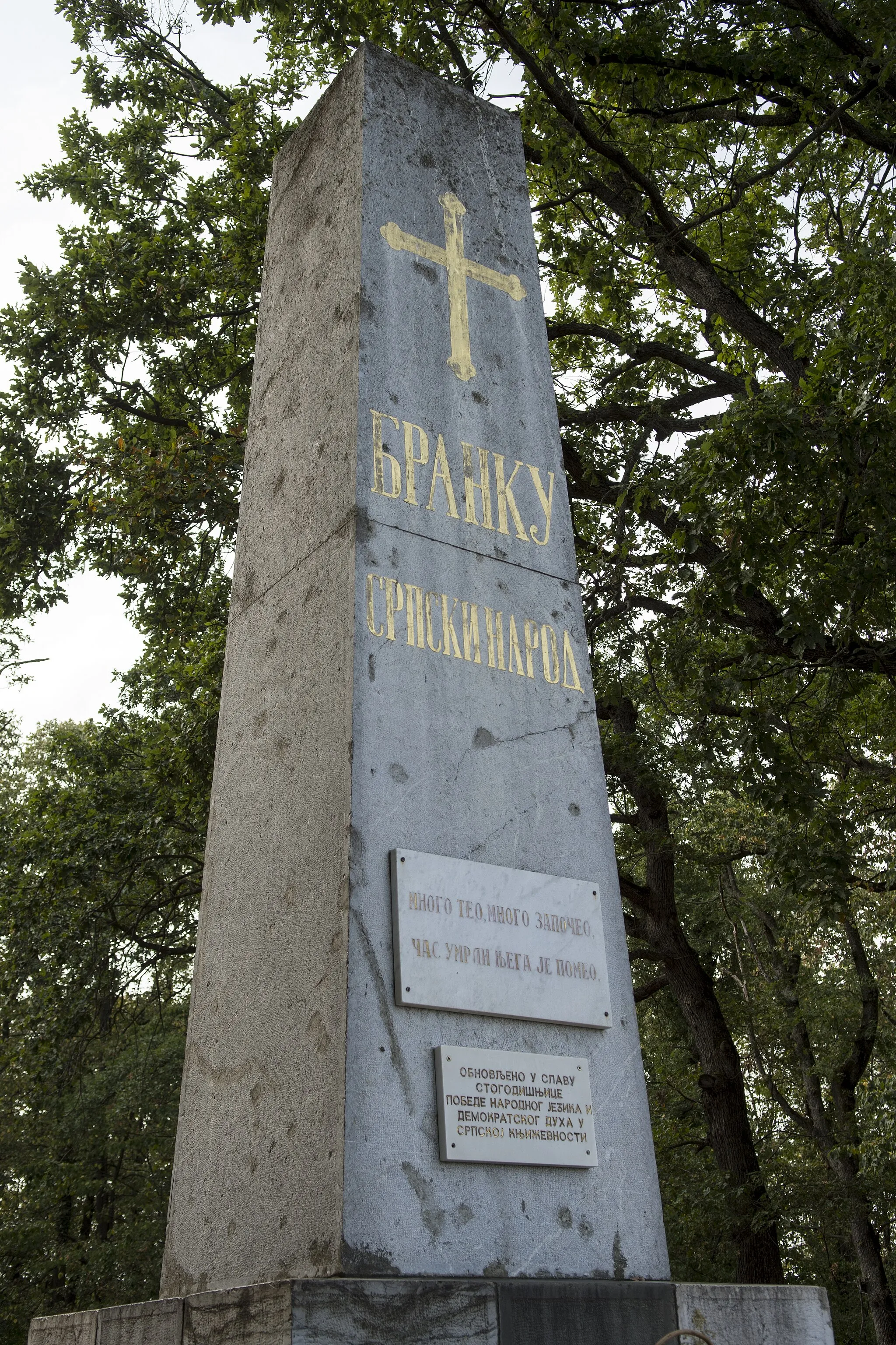 Photo showing: This is a photo of Cultural Heritage site of Serbia number