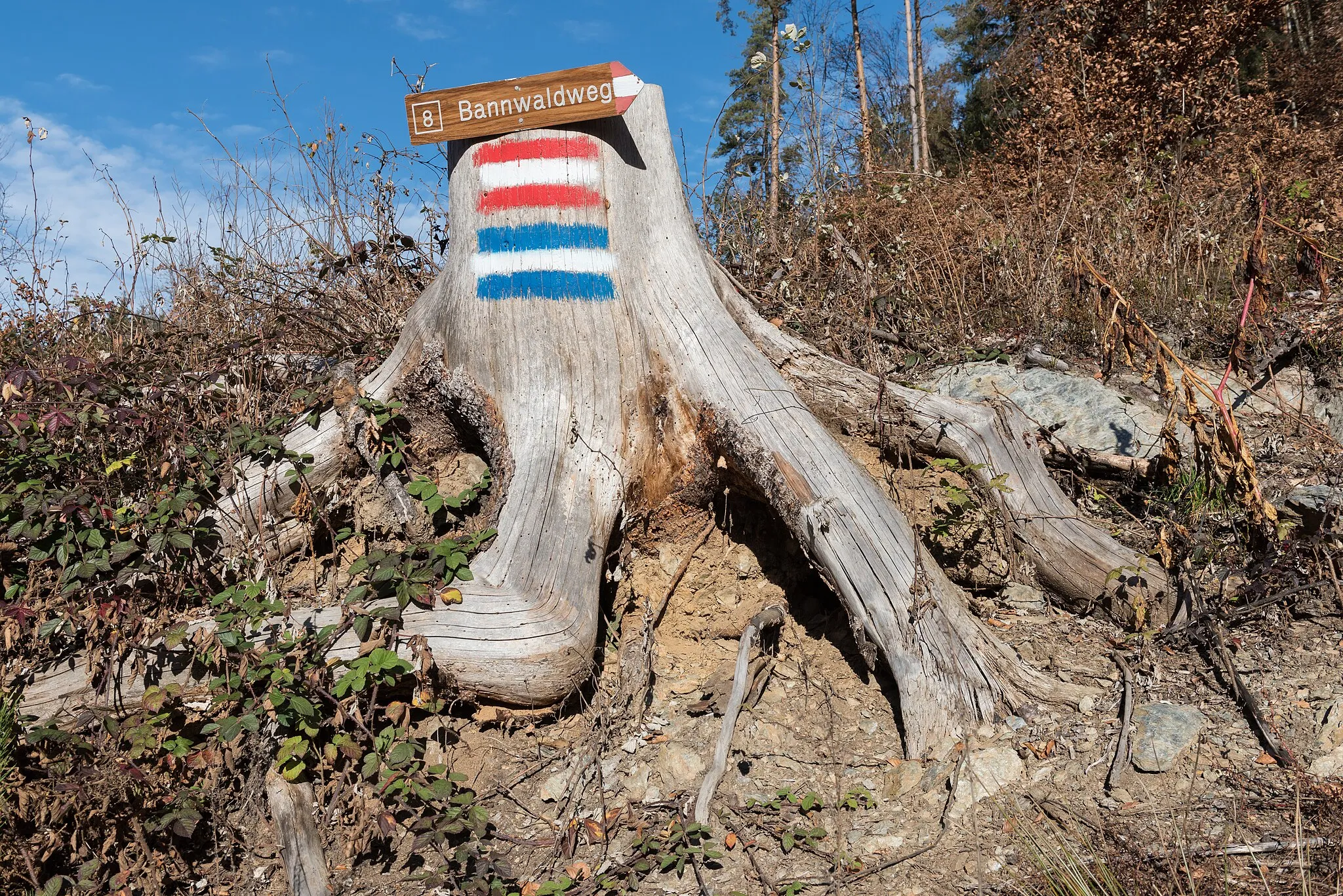 Photo showing: Fingerpost with hiking and footpath signs at the avalanche forest track “Bannwaldweg #8”, municipality Pörtschach am Wörther See, district Klagenfurt Land, Carinthia, Austria, EU