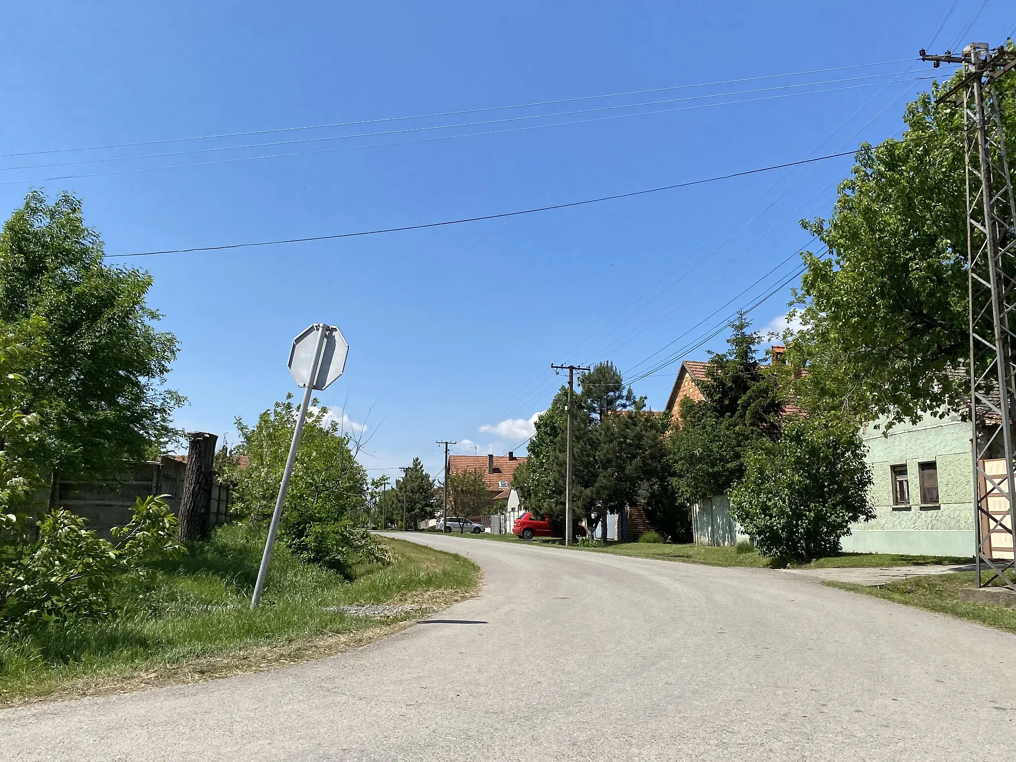 Photo showing: Branko Radičević Street in Padina