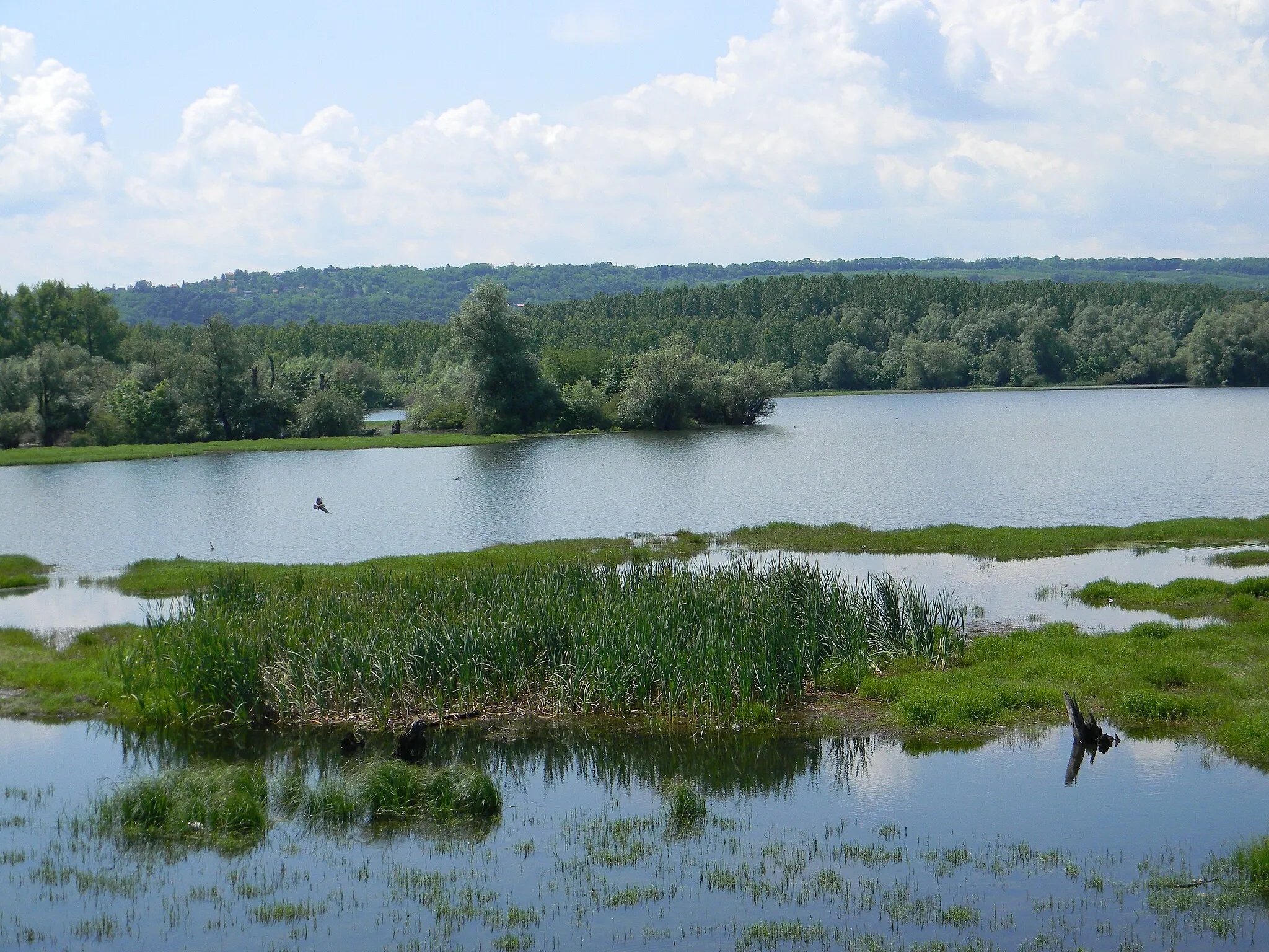 Photo showing: Provala (Hungarian-Szakado) - Danube wenth thru old dam (before new were made litle bit further from pld one) and made natural habitat and for many years excellent place for picnic. Today this is protected area. On picture is old road to picnic area