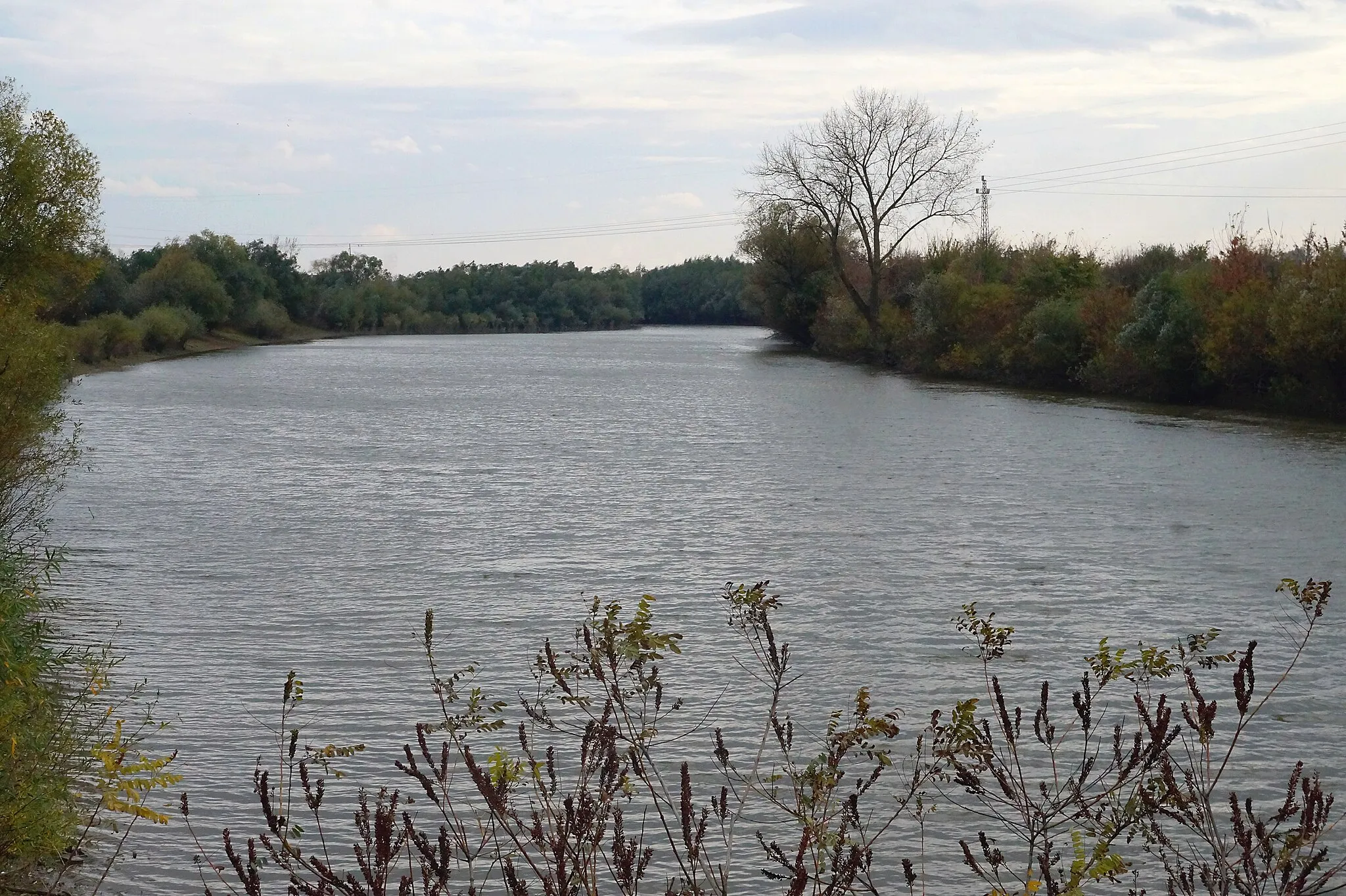 Photo showing: The old meander of Timiș River (Tamiš) near Tomaševac, in Banat.